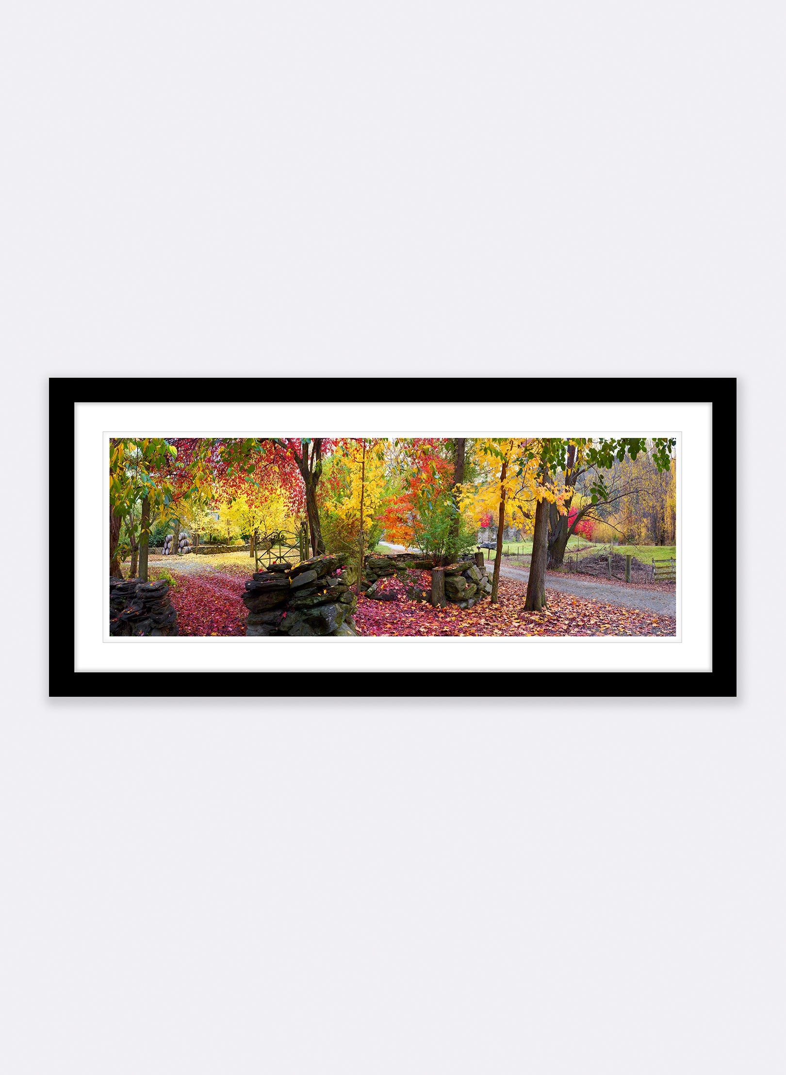 Autumn Symphony - Photographic Print