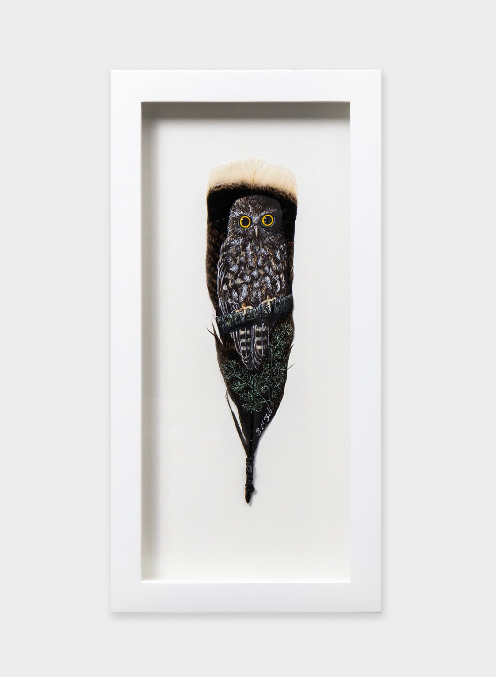 Morepork Ruru Over a Ponga- Framed