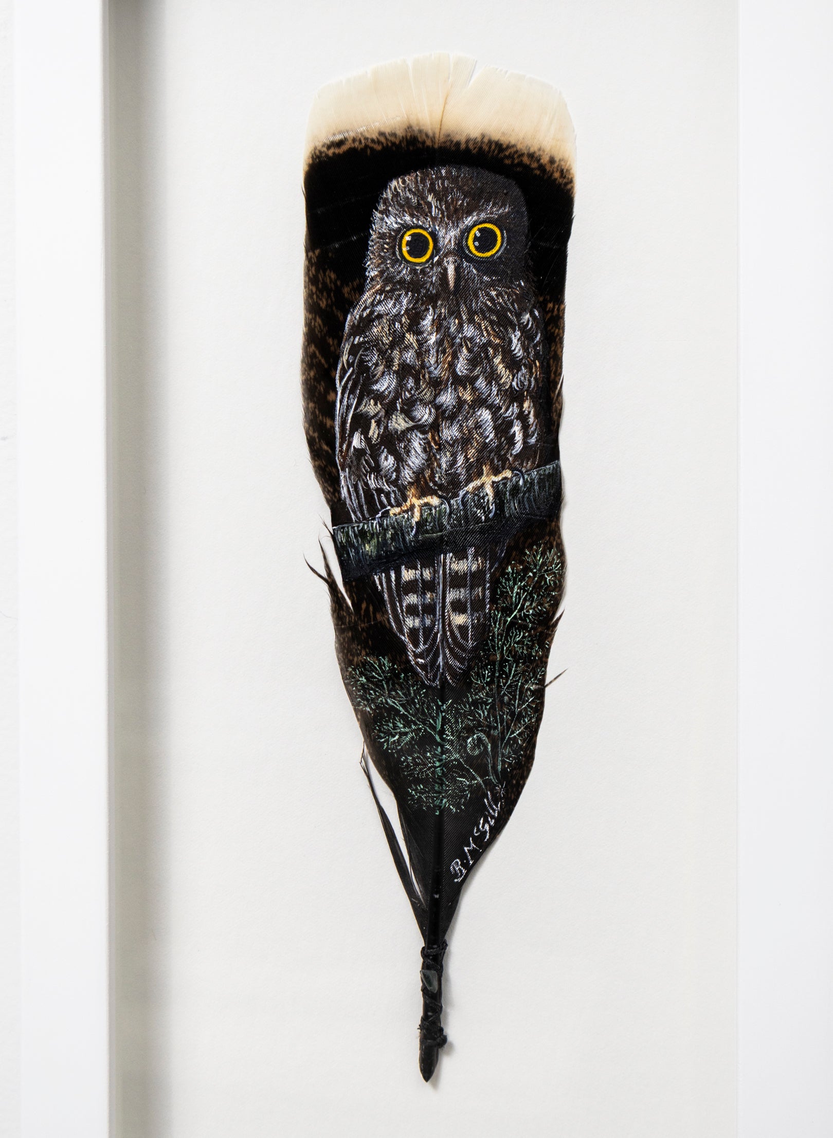 Morepork Ruru Over a Ponga- Framed