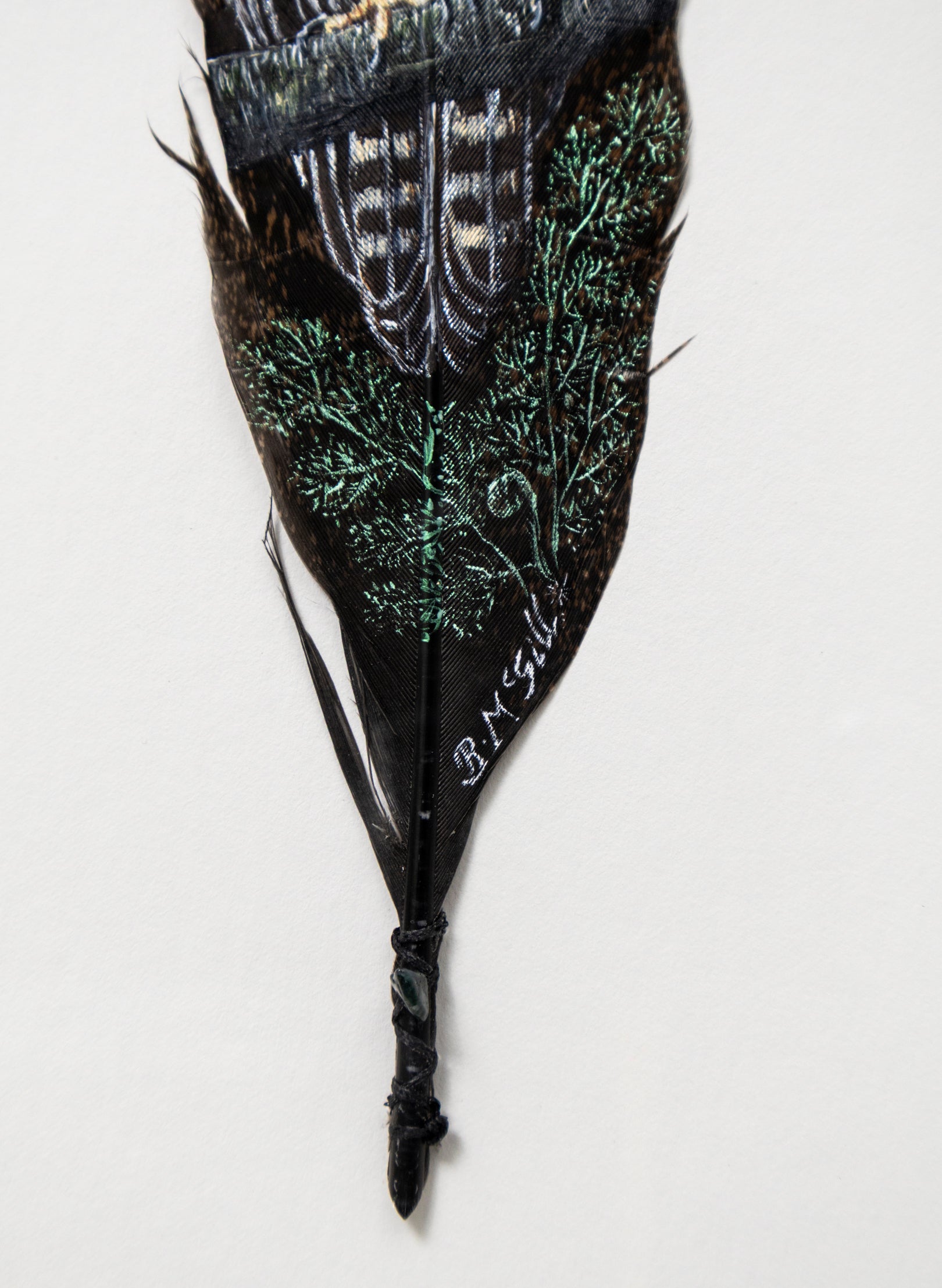 Morepork Ruru Over a Ponga- Framed