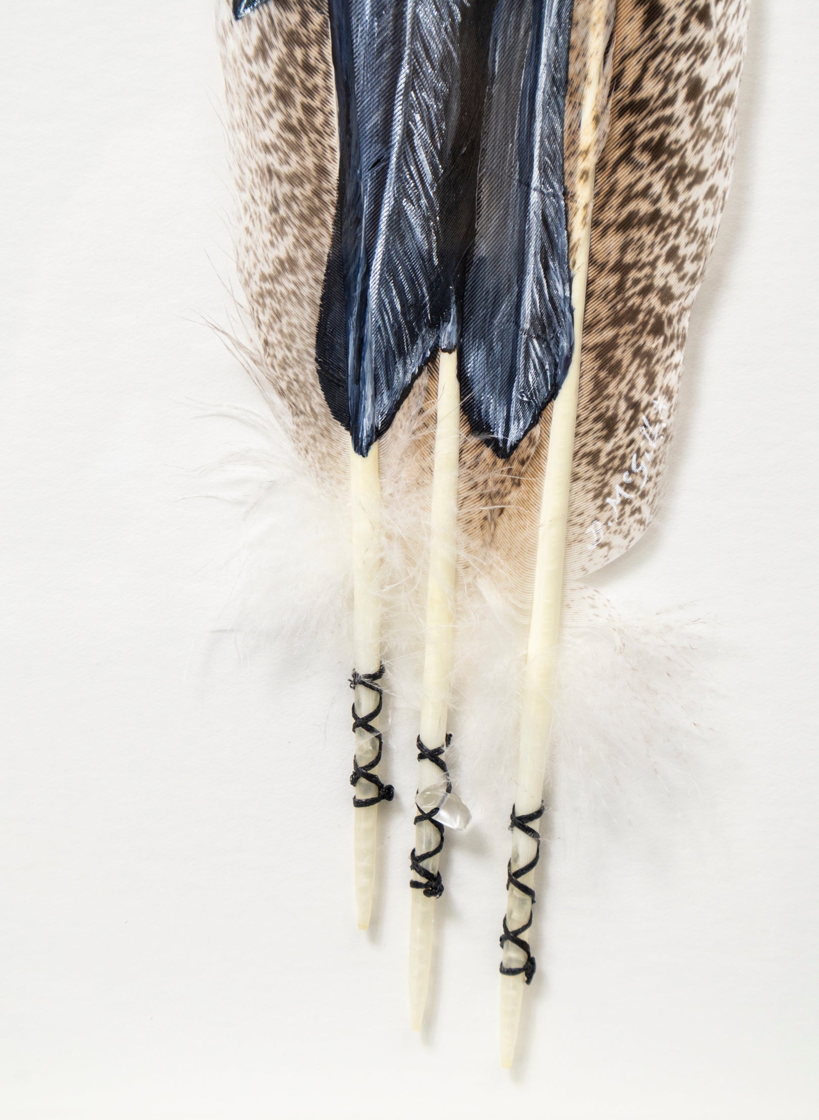 NZ Wood Pigeon Kererū - Framed