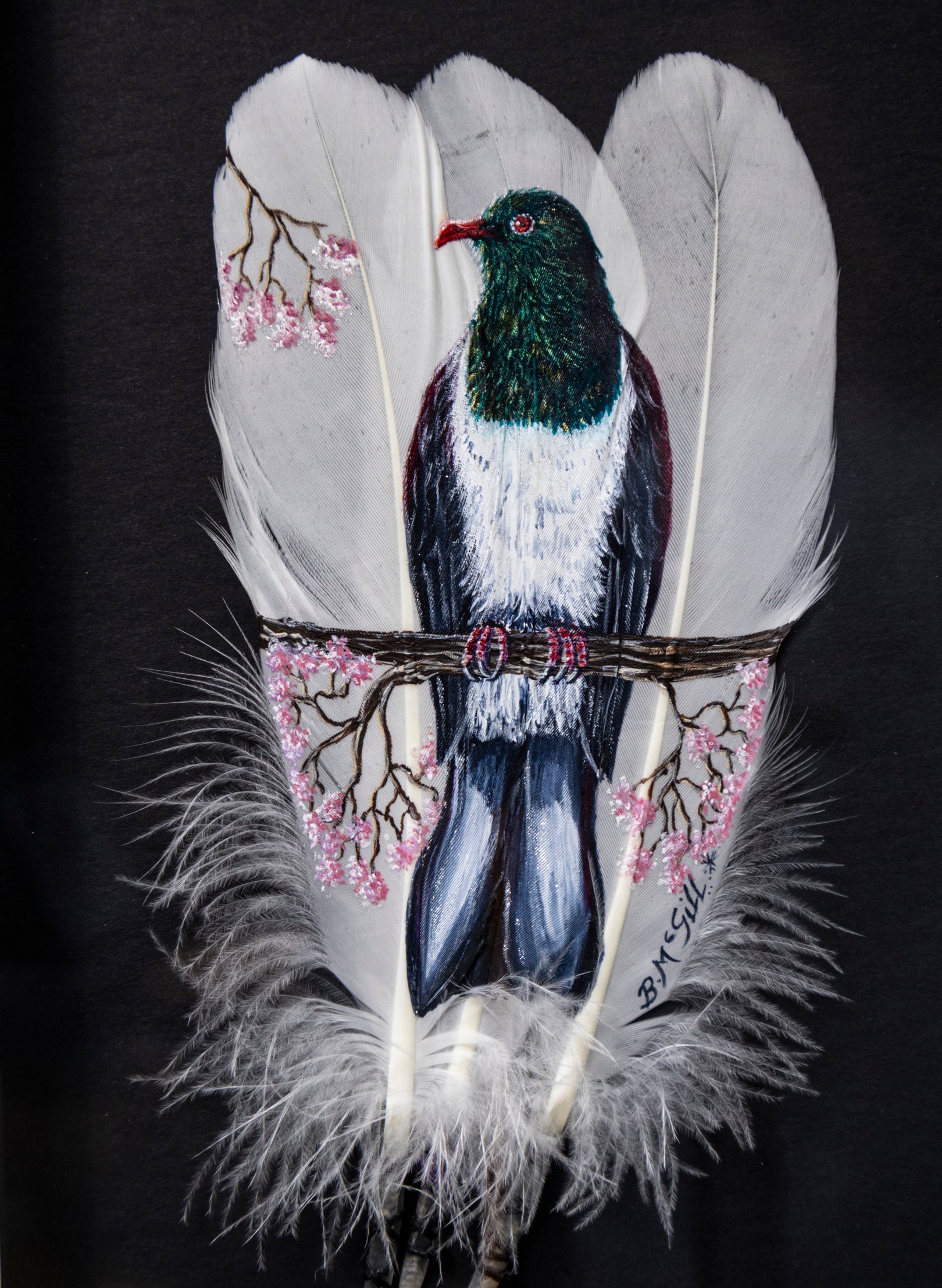 Kererū on Blossom - Framed