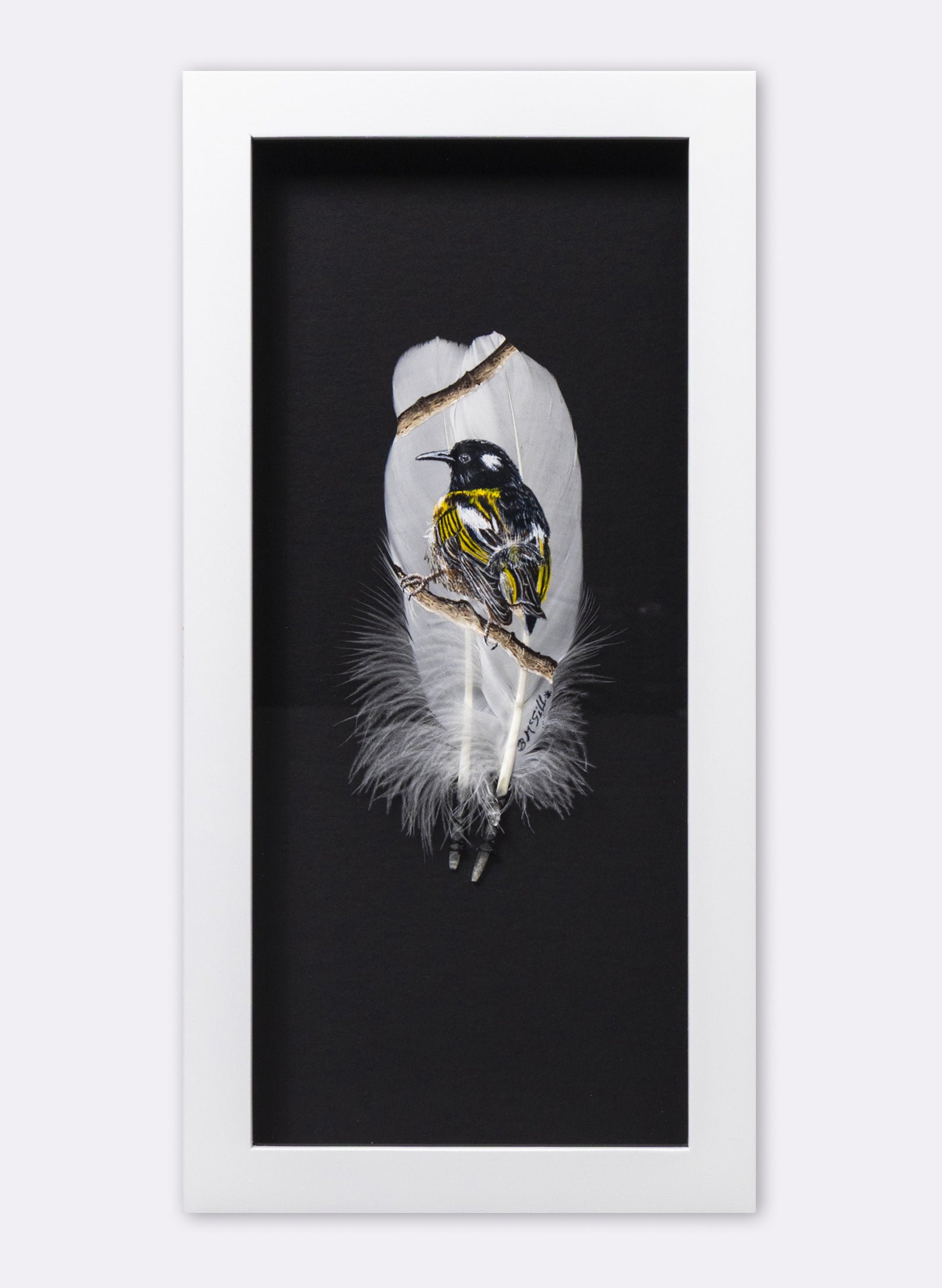 Stitchbird Hihi - Framed