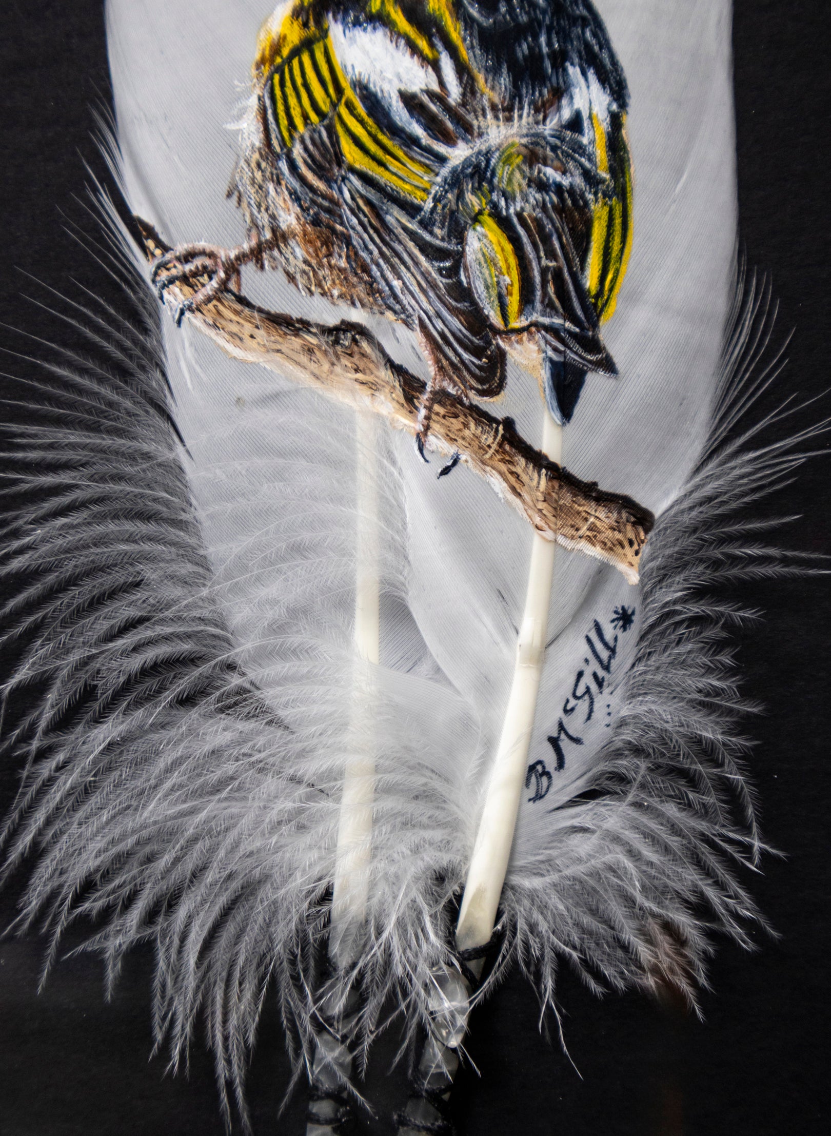 Stitchbird Hihi - Framed