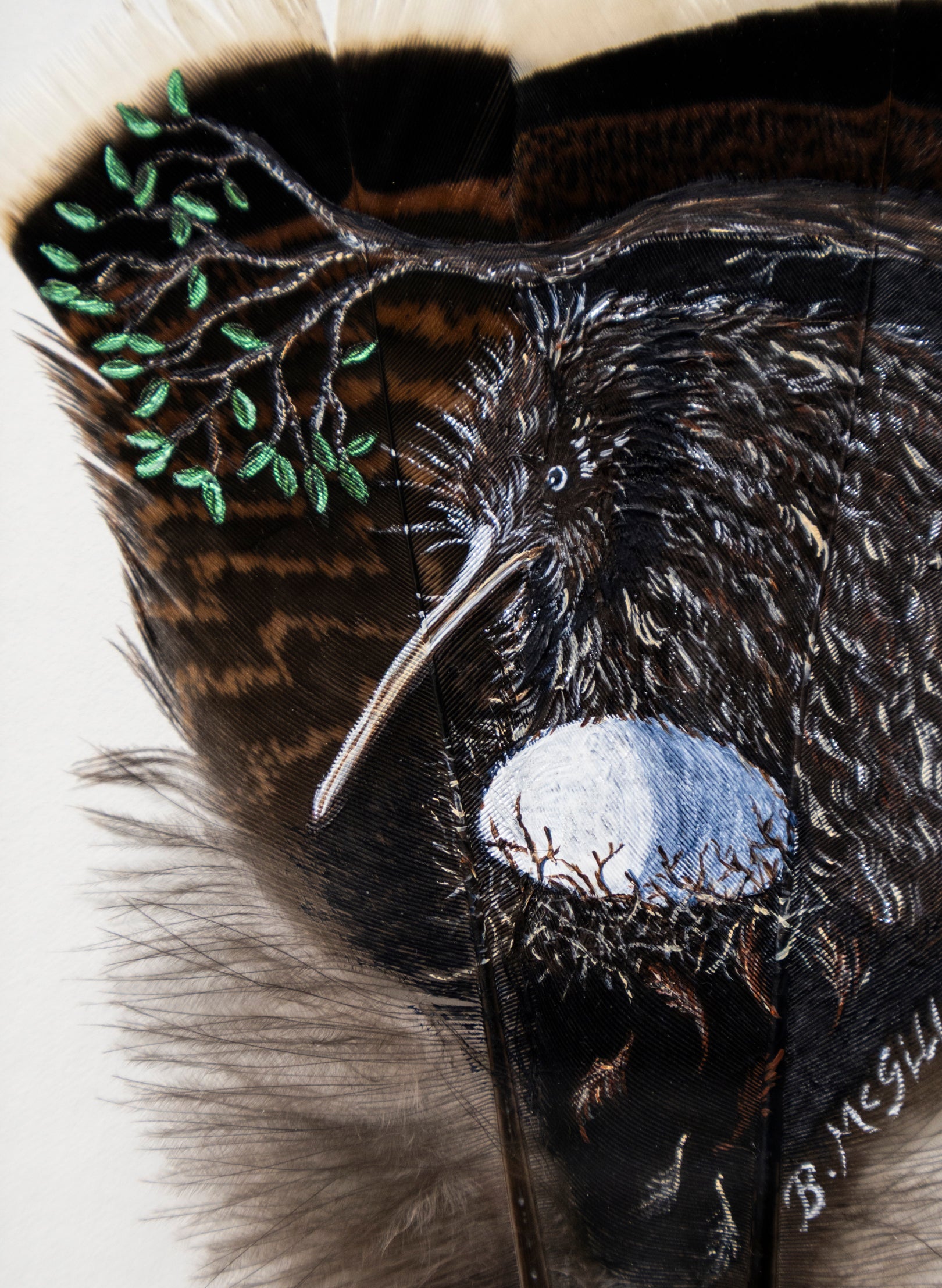 Little Brown Kiwi - Framed