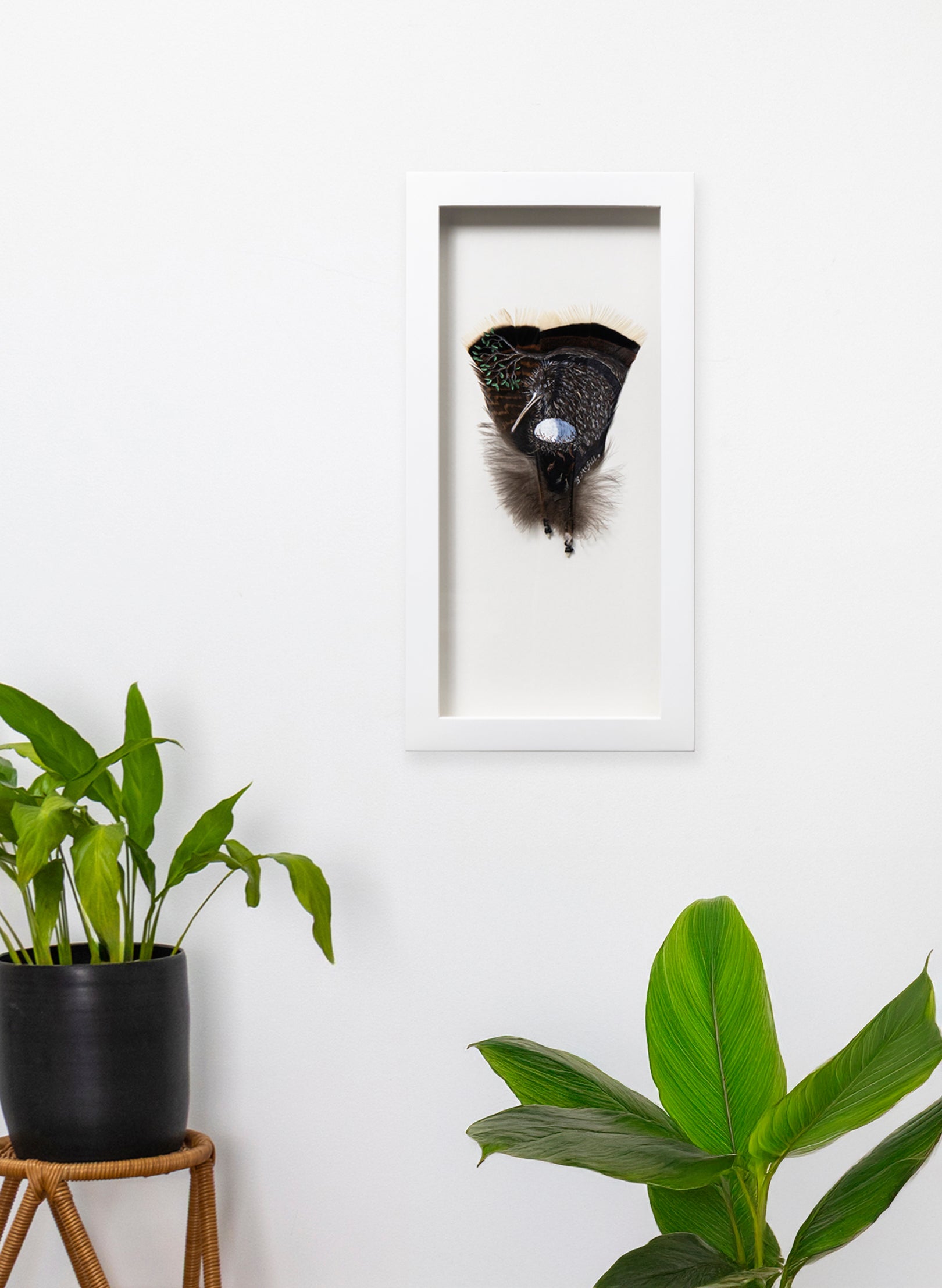 Little Brown Kiwi - Framed