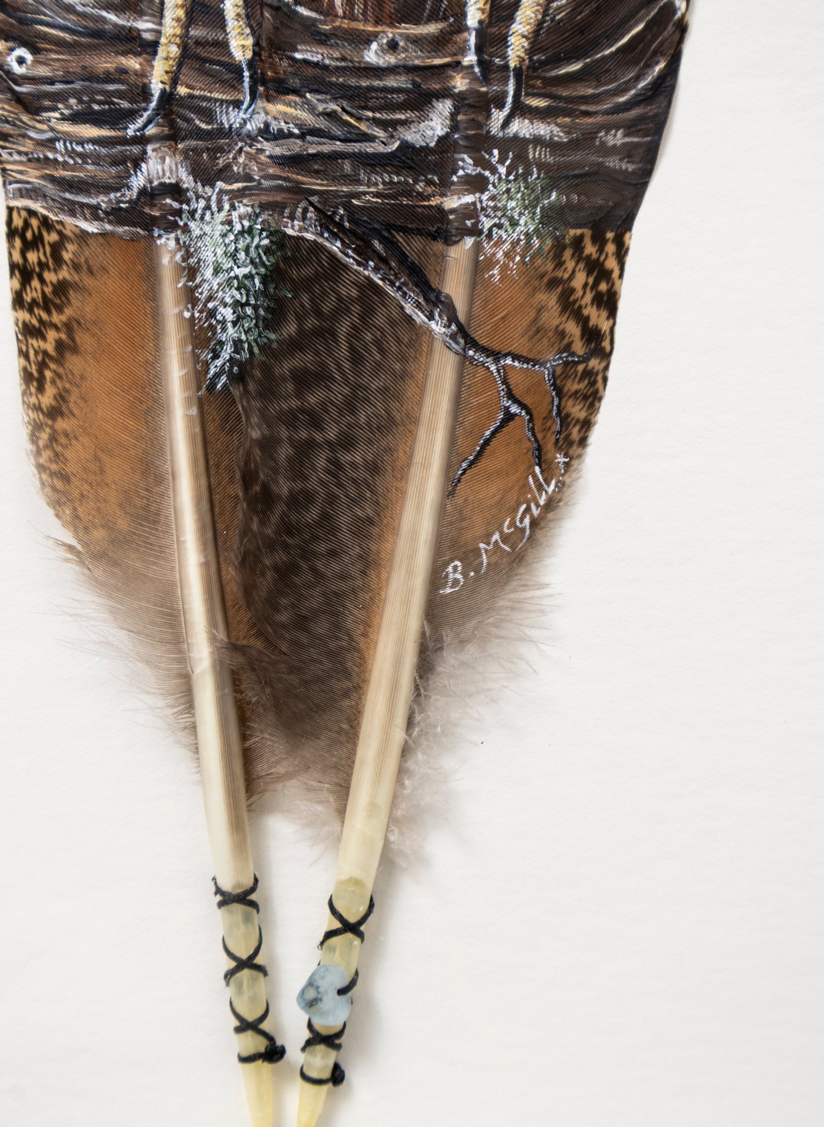 NZ Falcon Kārearea - Framed