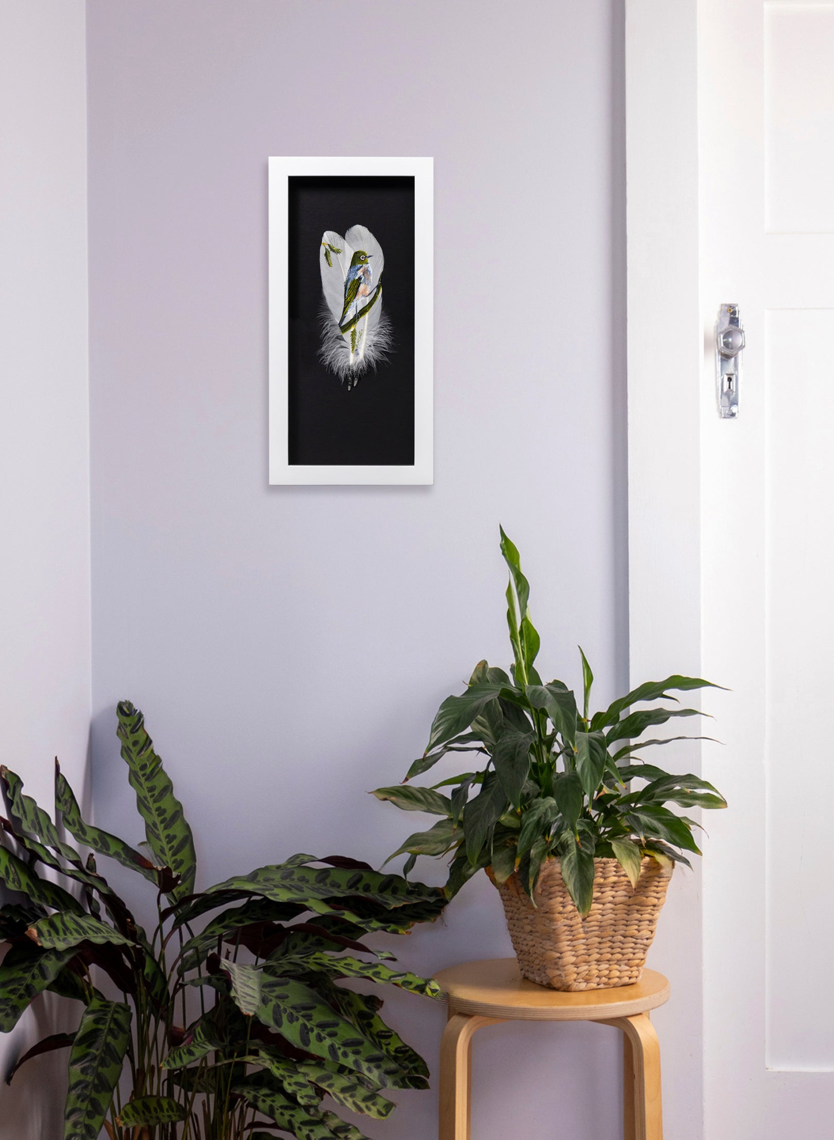 Waxeye Tauhou - Framed