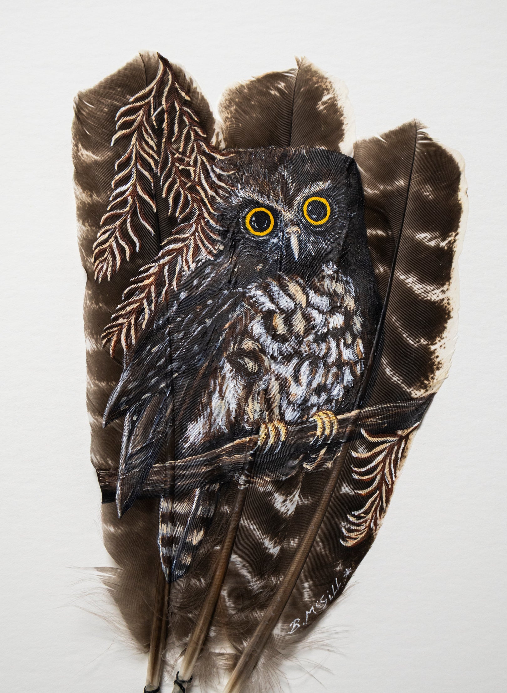Morepork Ruru