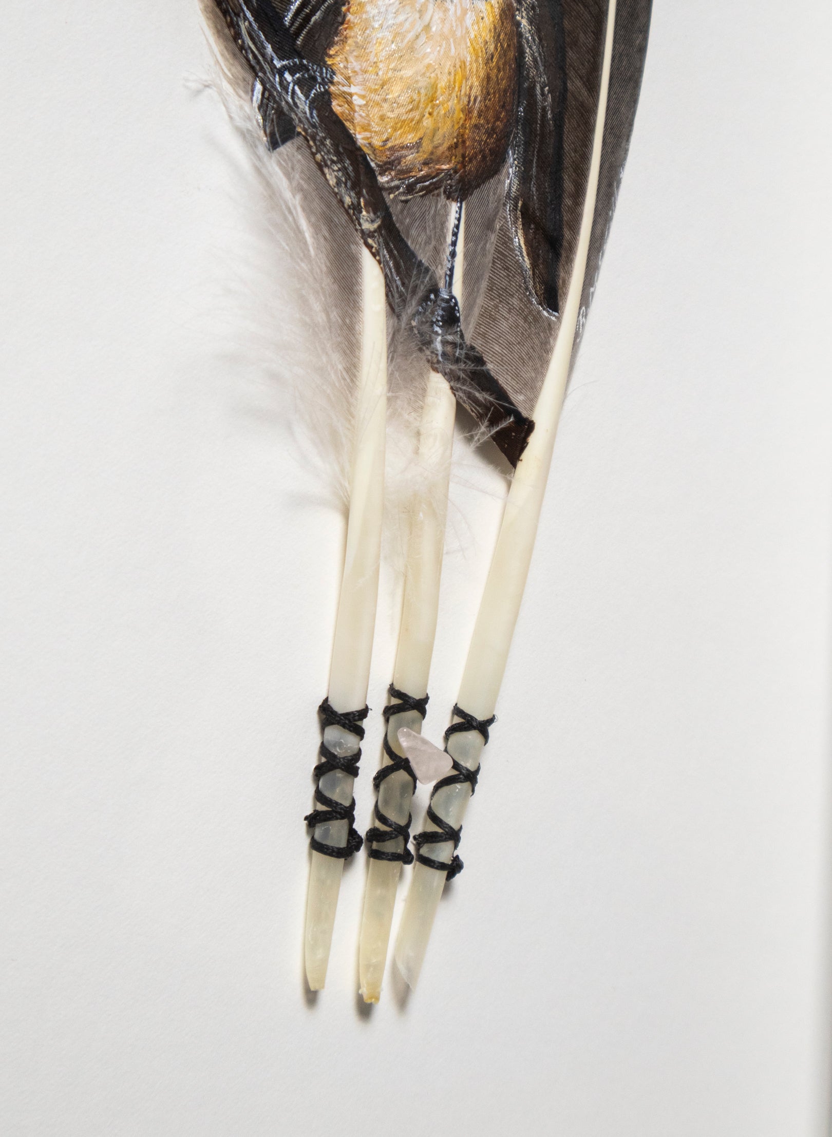 Fantail Pīwakawaka - Framed