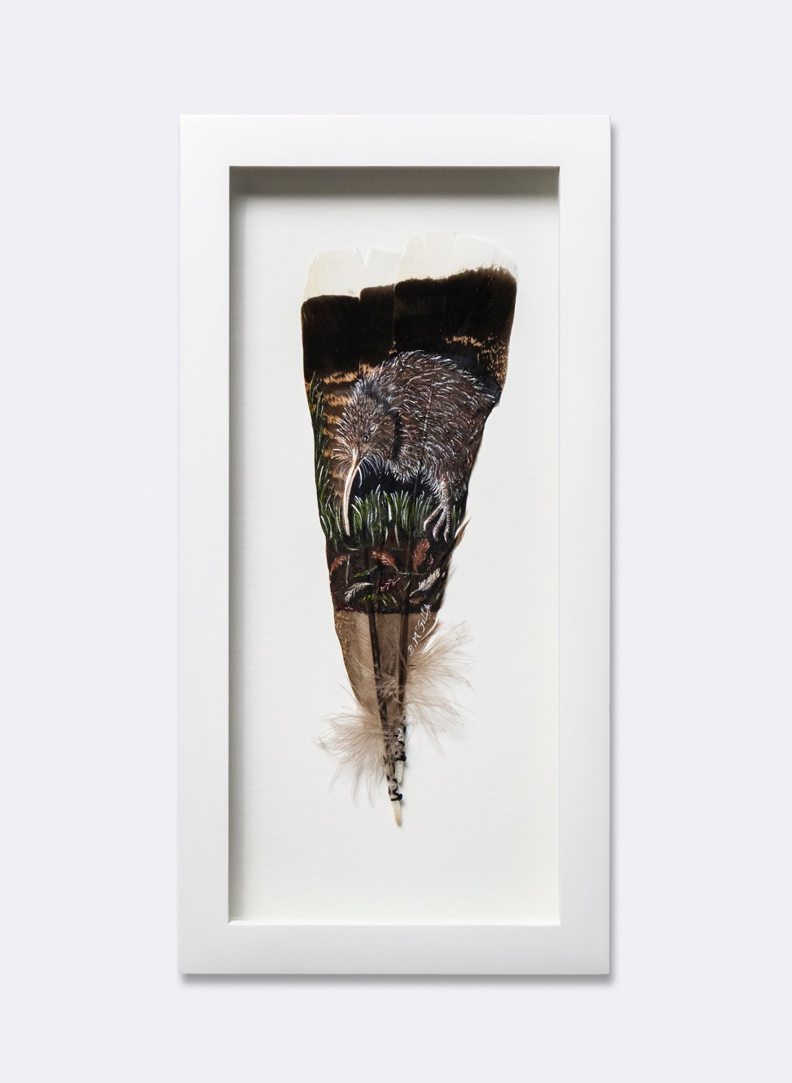 Kiwi - Framed