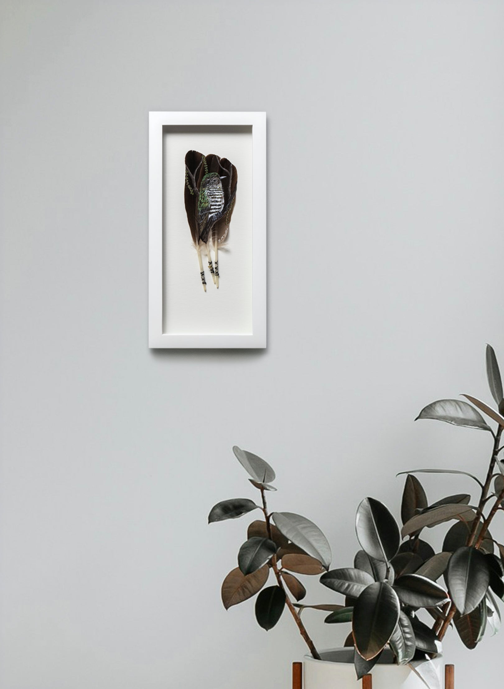 Shining Cuckoo - Pīpīwharauroa - Framed