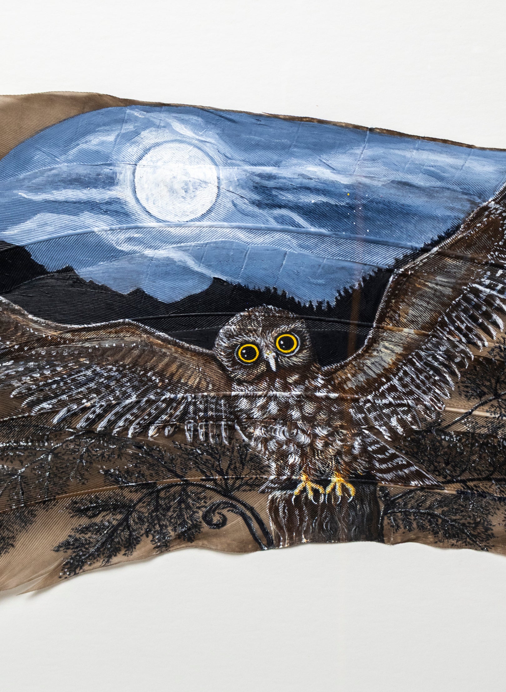 Moonlit Flight Morepork Ruru - Framed