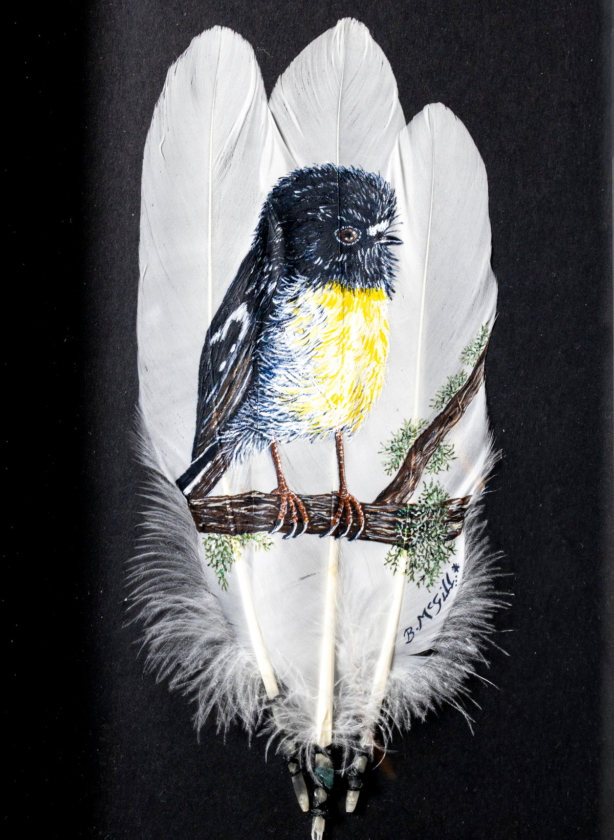South Island Tomtit - Framed