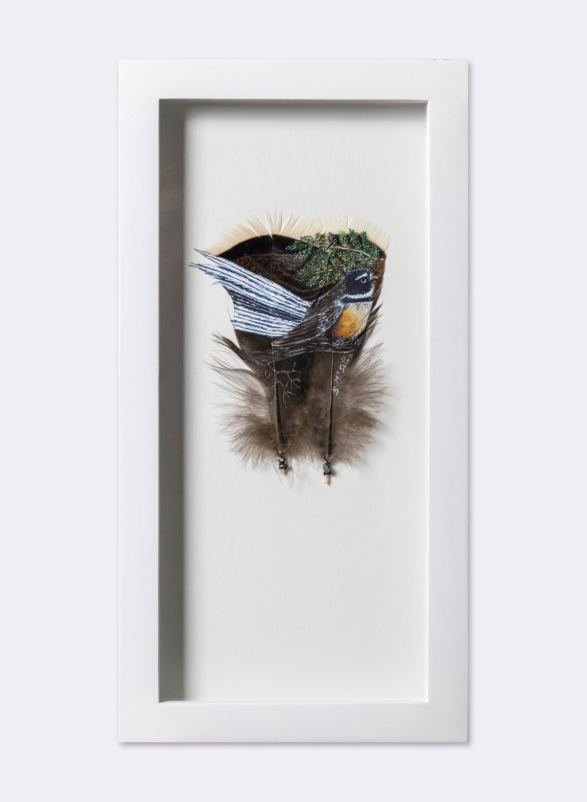 Fantail - Framed