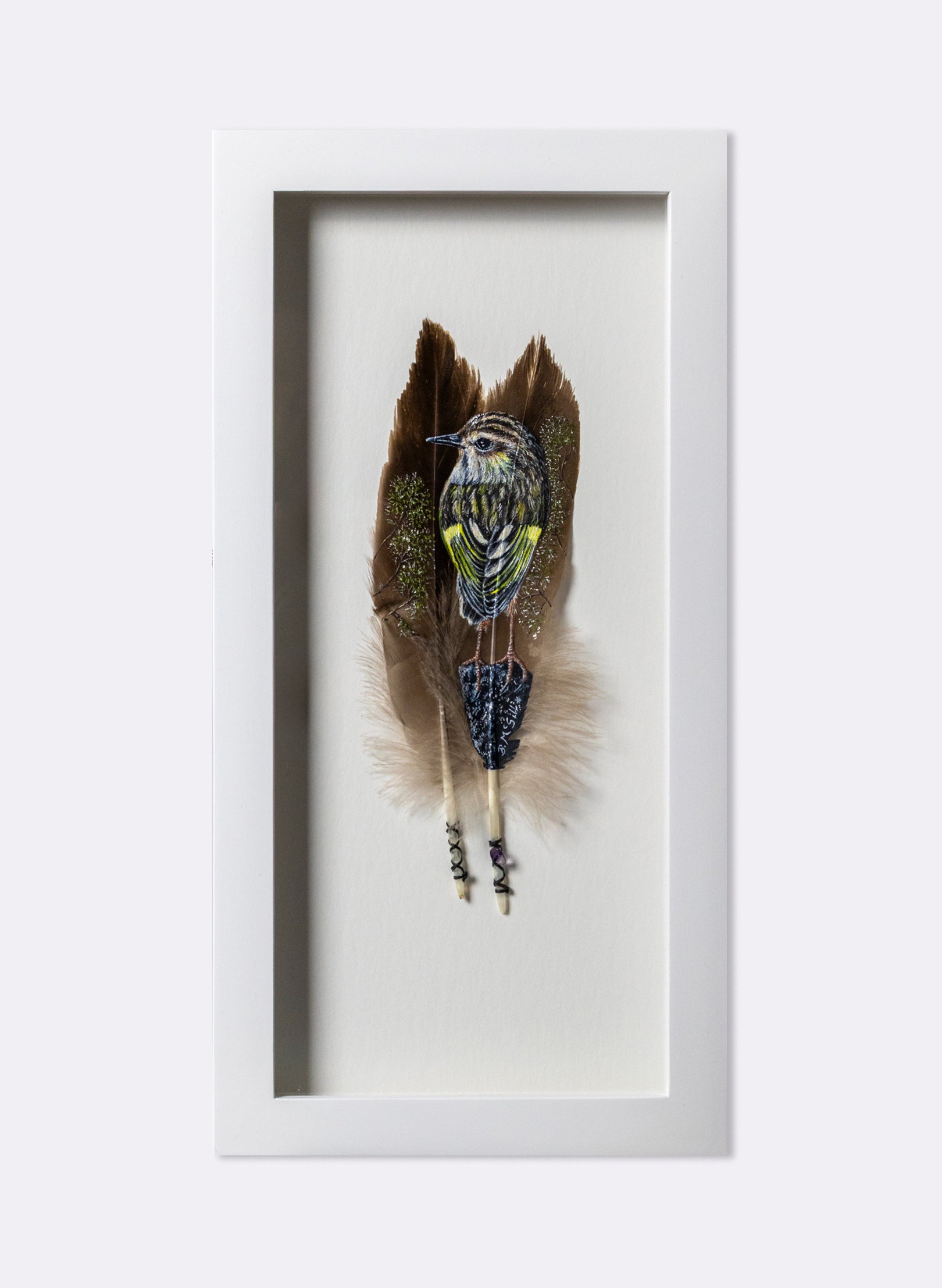 Rock Wren - Piwauwau - Framed
