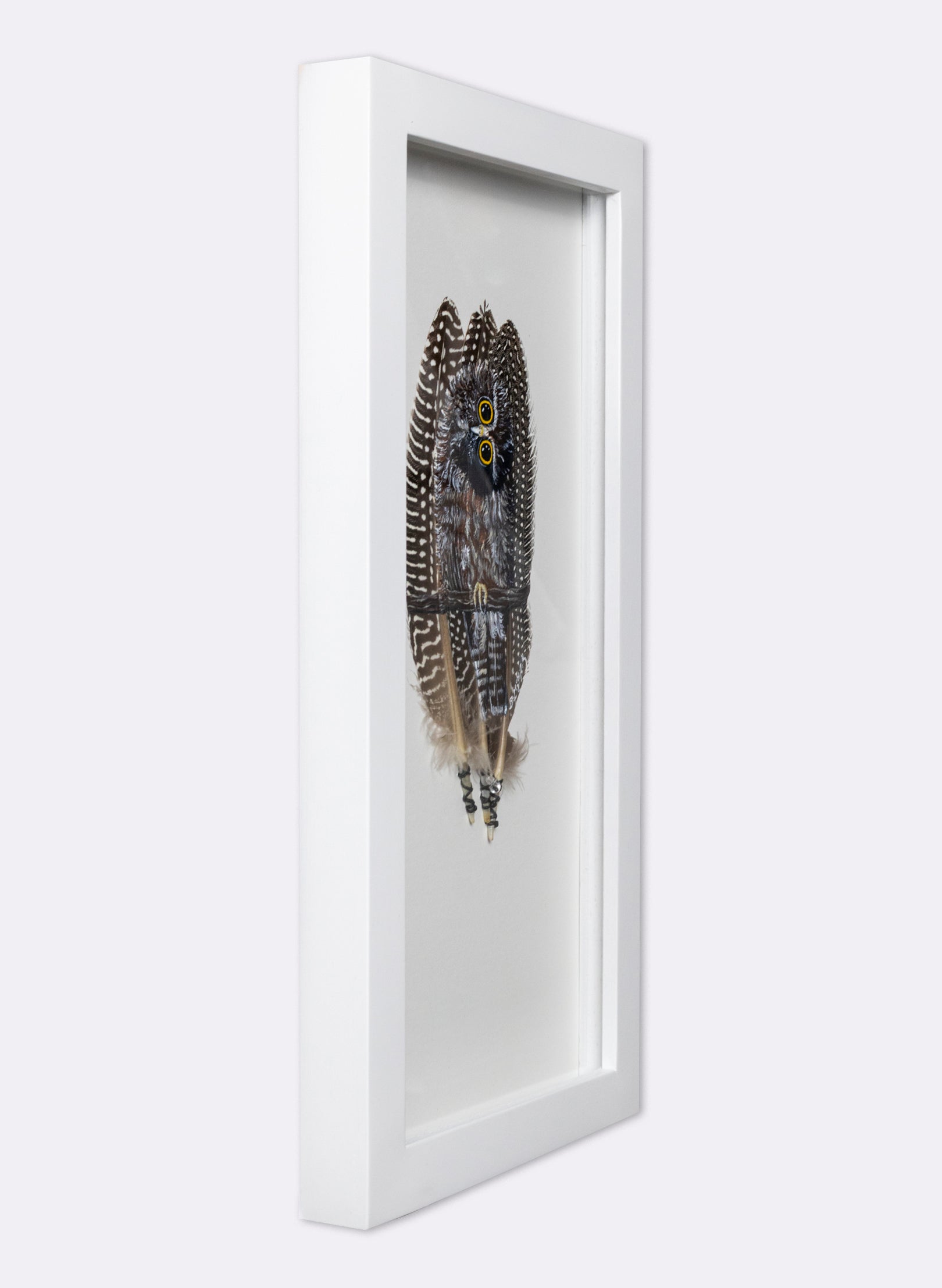 Qwizzick Morepork - Framed