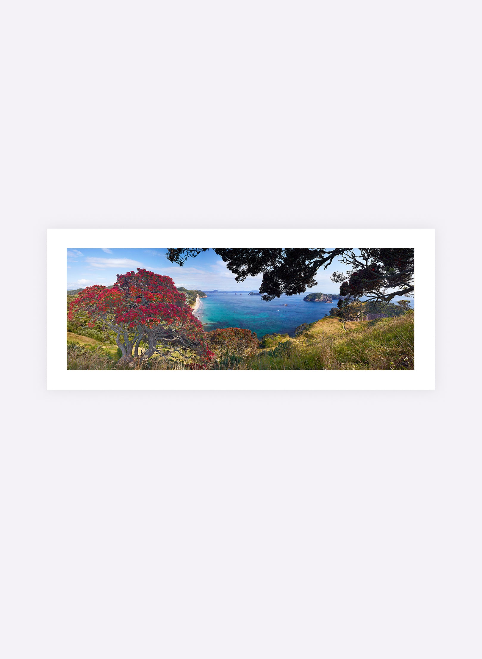 Blazing Beauty - Photographic Print