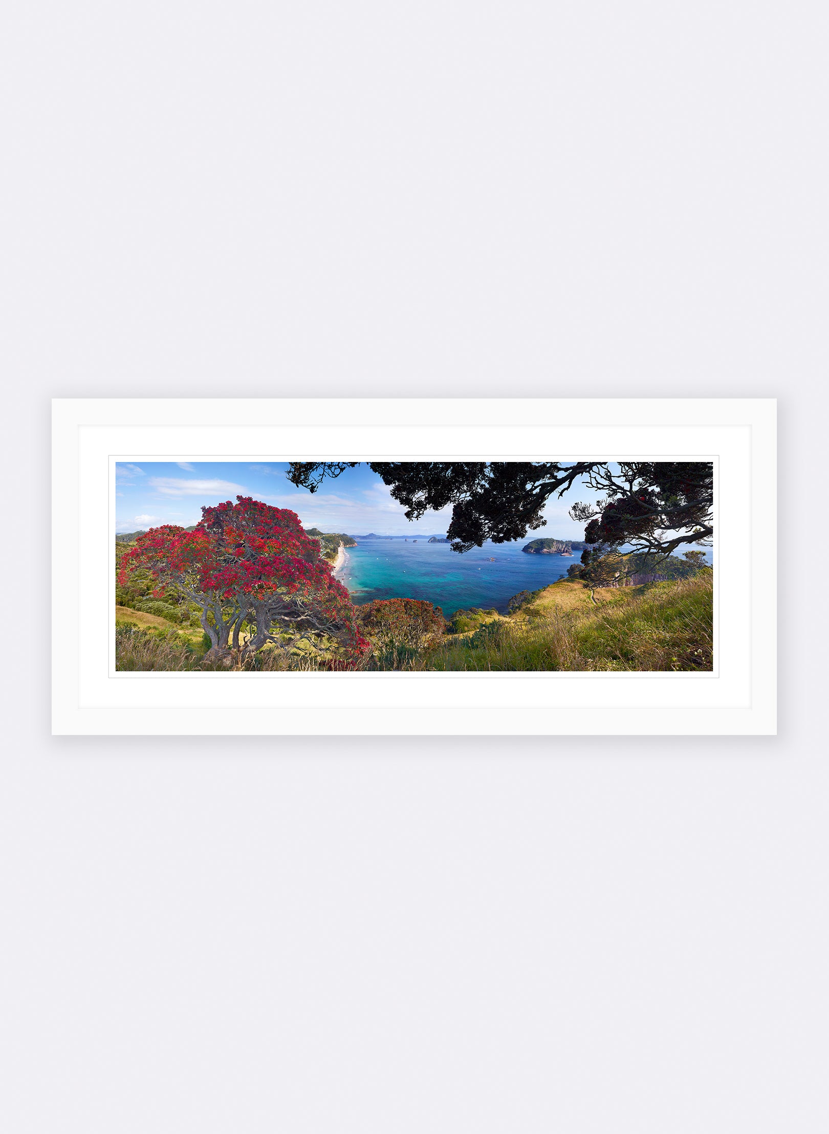 Blazing Beauty - Photographic Print