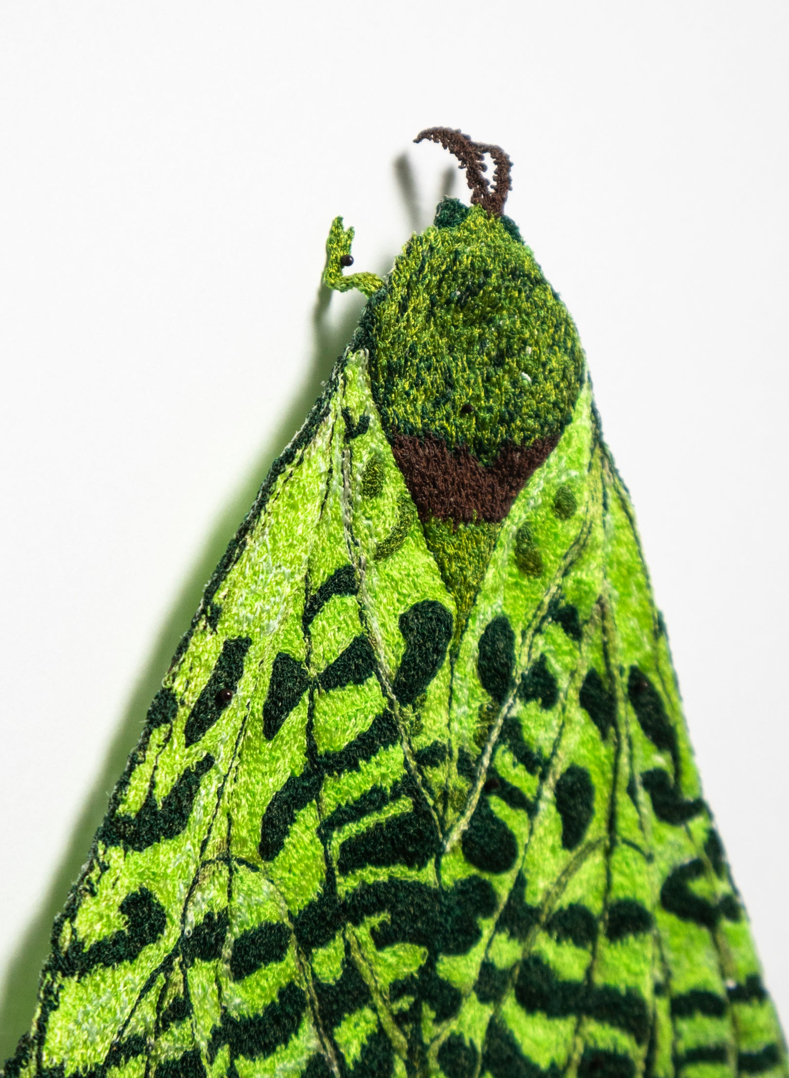 Pūriri Moth Sculptural Embroidery