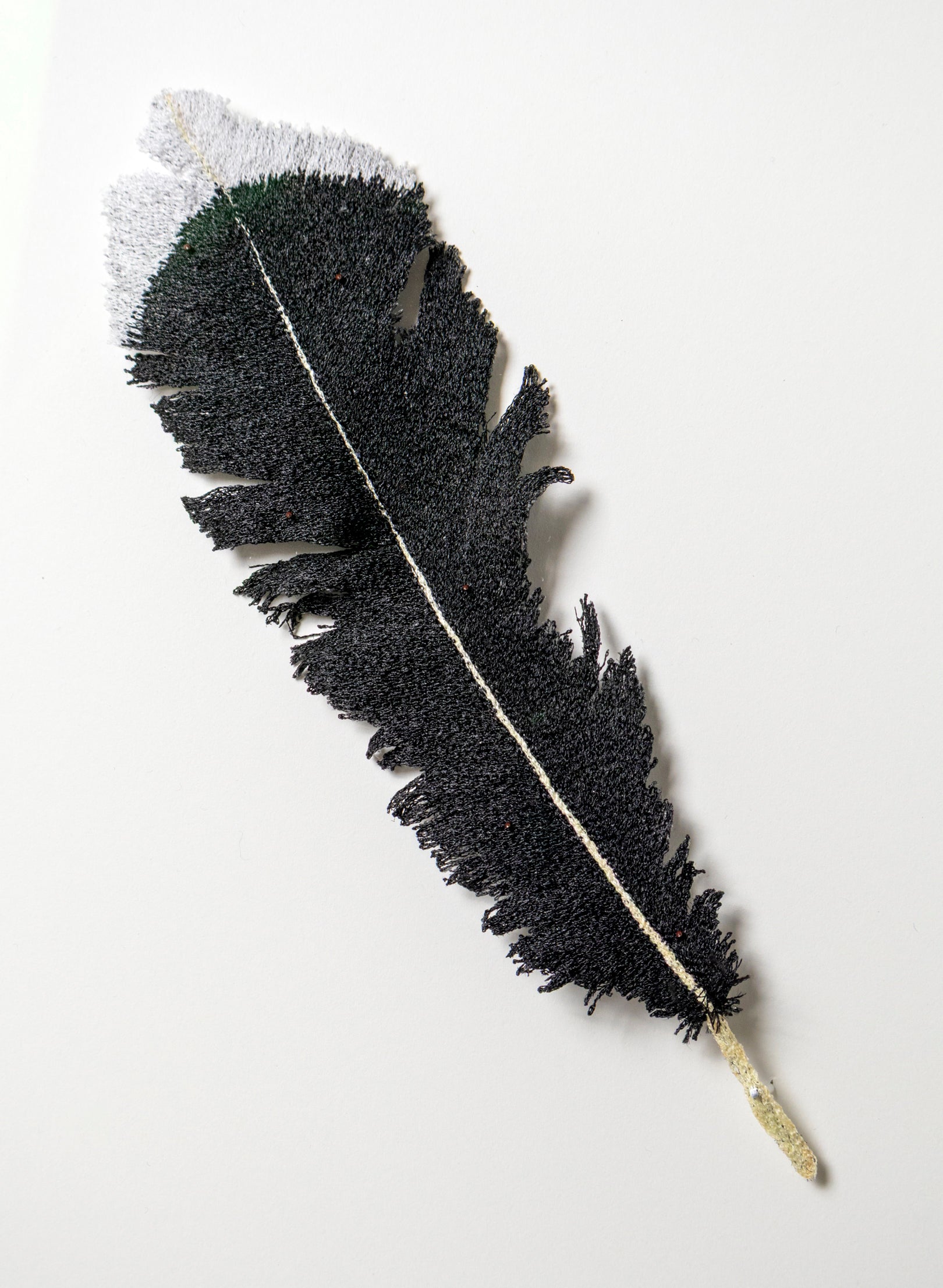 Huia Feather - 3D Embroidery