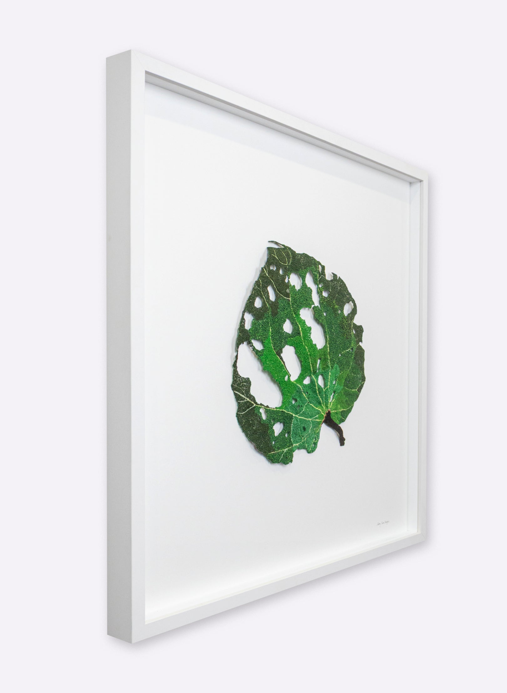 Giant Kawakawa Leaf - 3D Embroidery