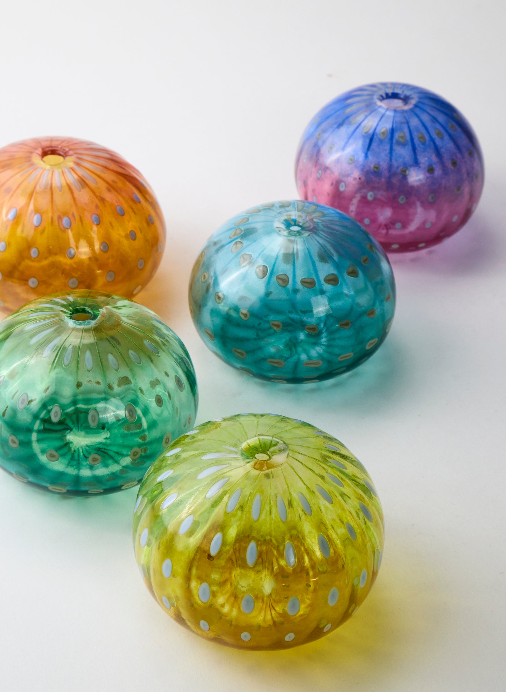 Sea Urchin - Light Sea Green