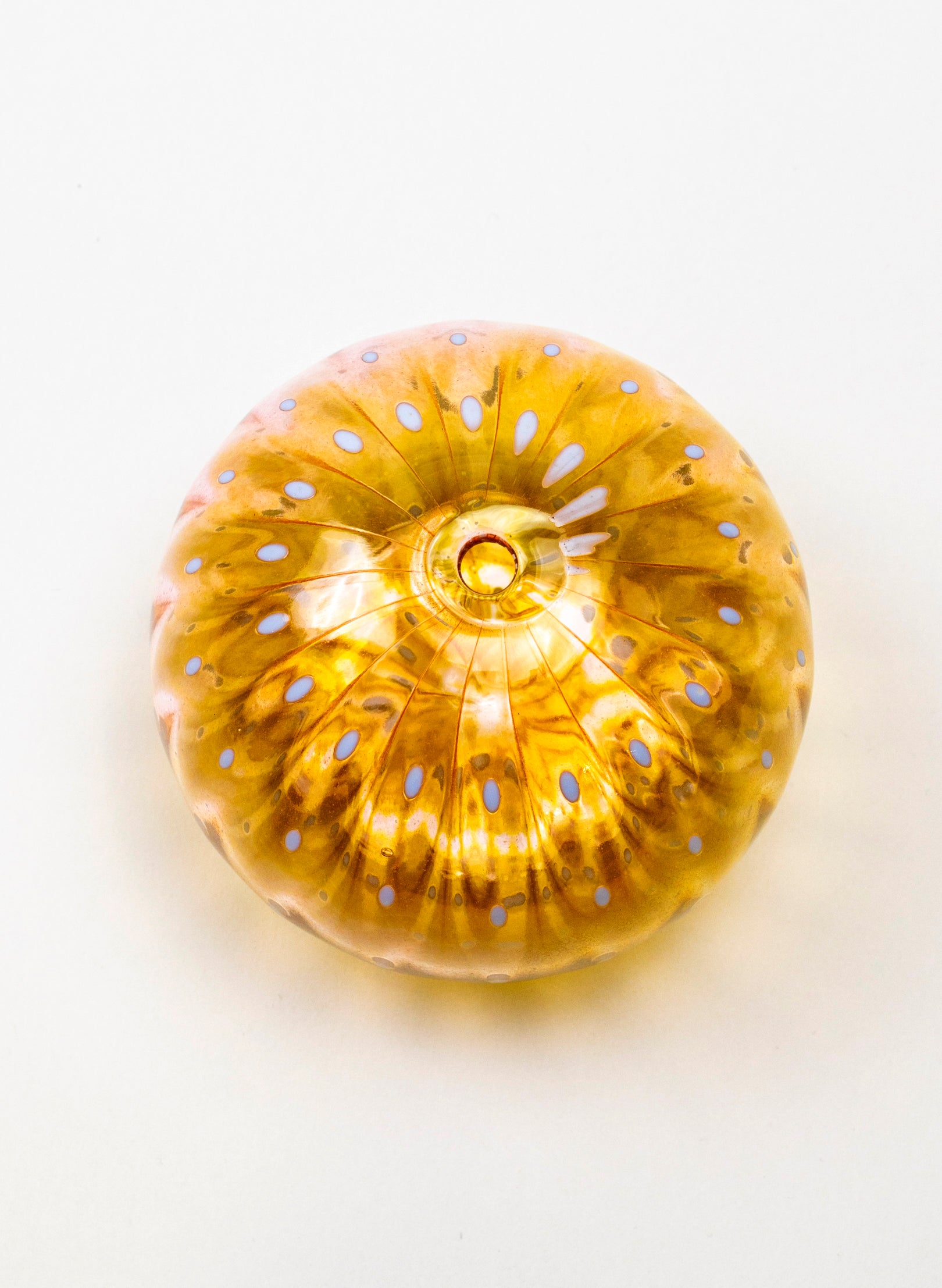 Sea Urchin - Pink & Gold