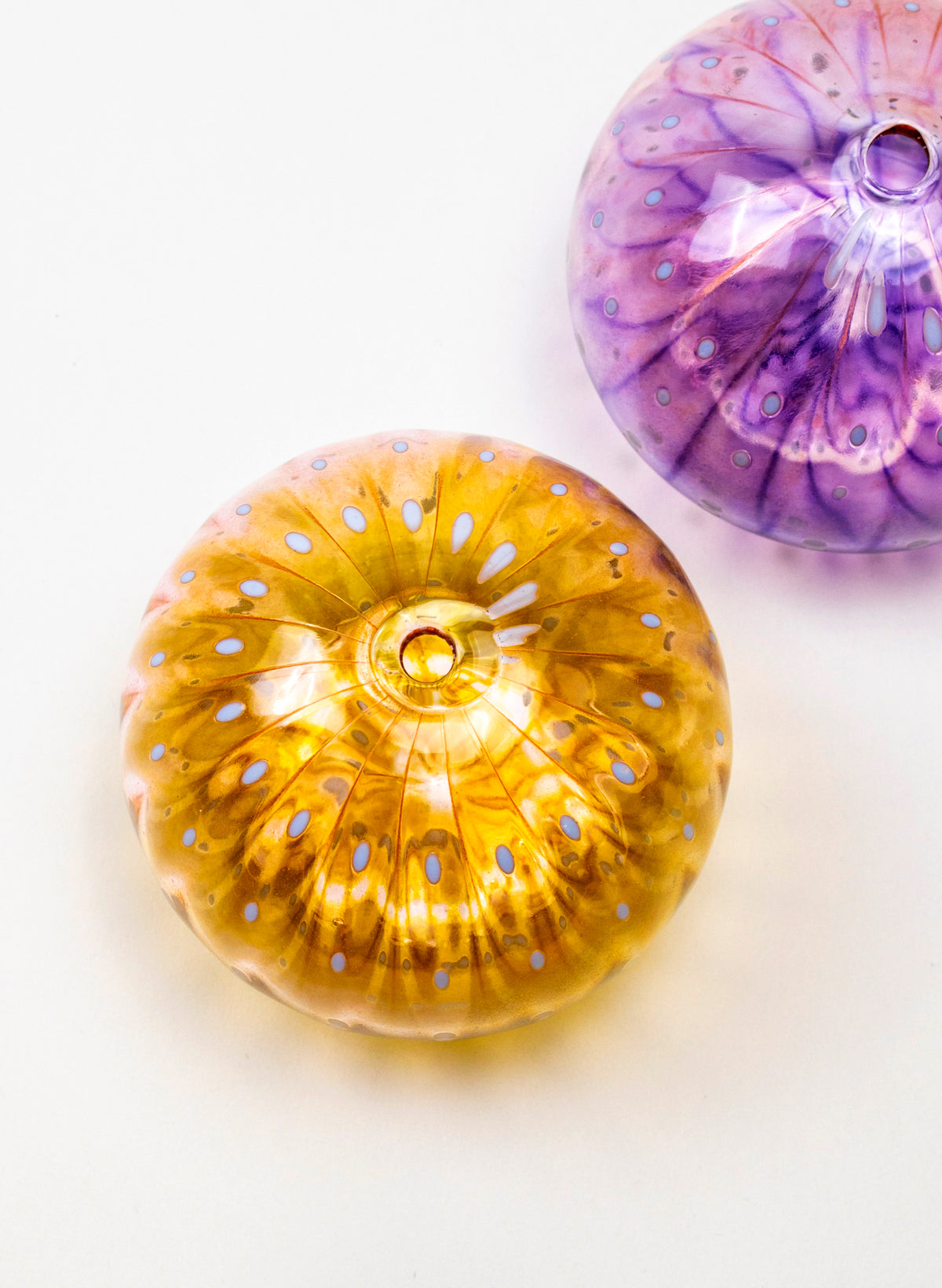 Sea Urchin - Pink & Gold