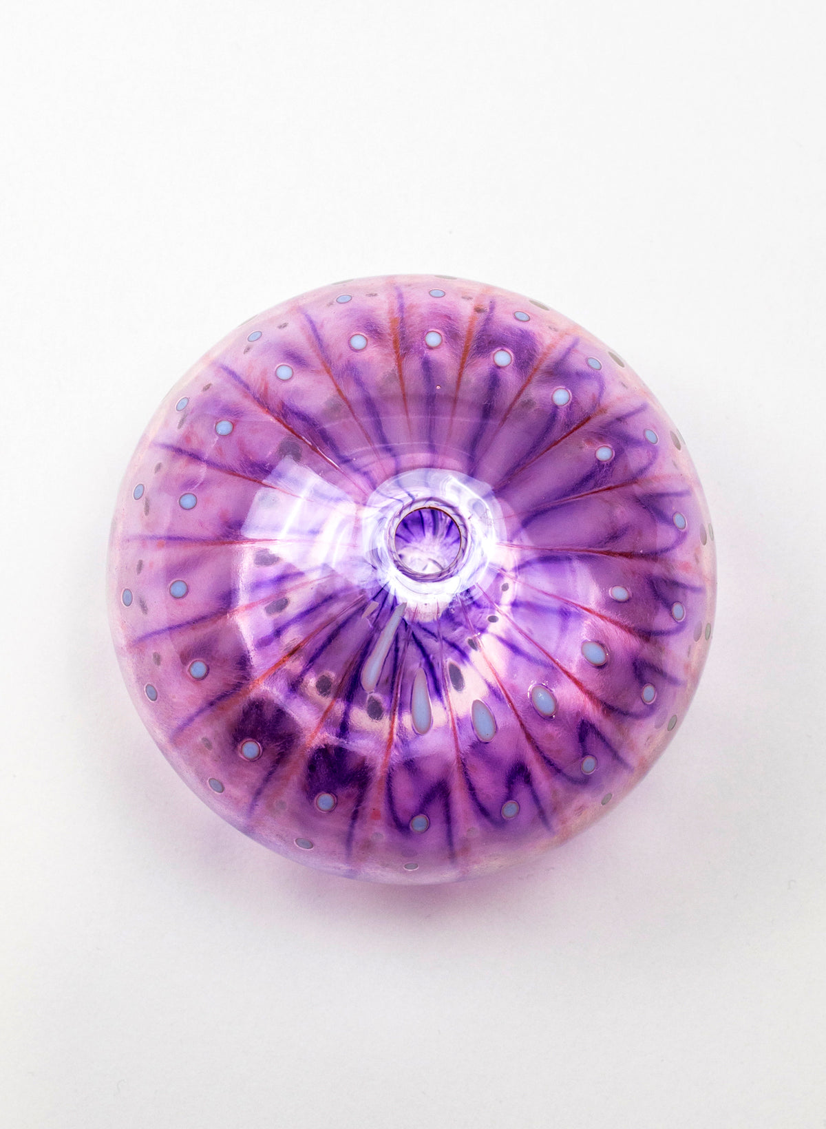 Sea Urchin - Pink & Purple