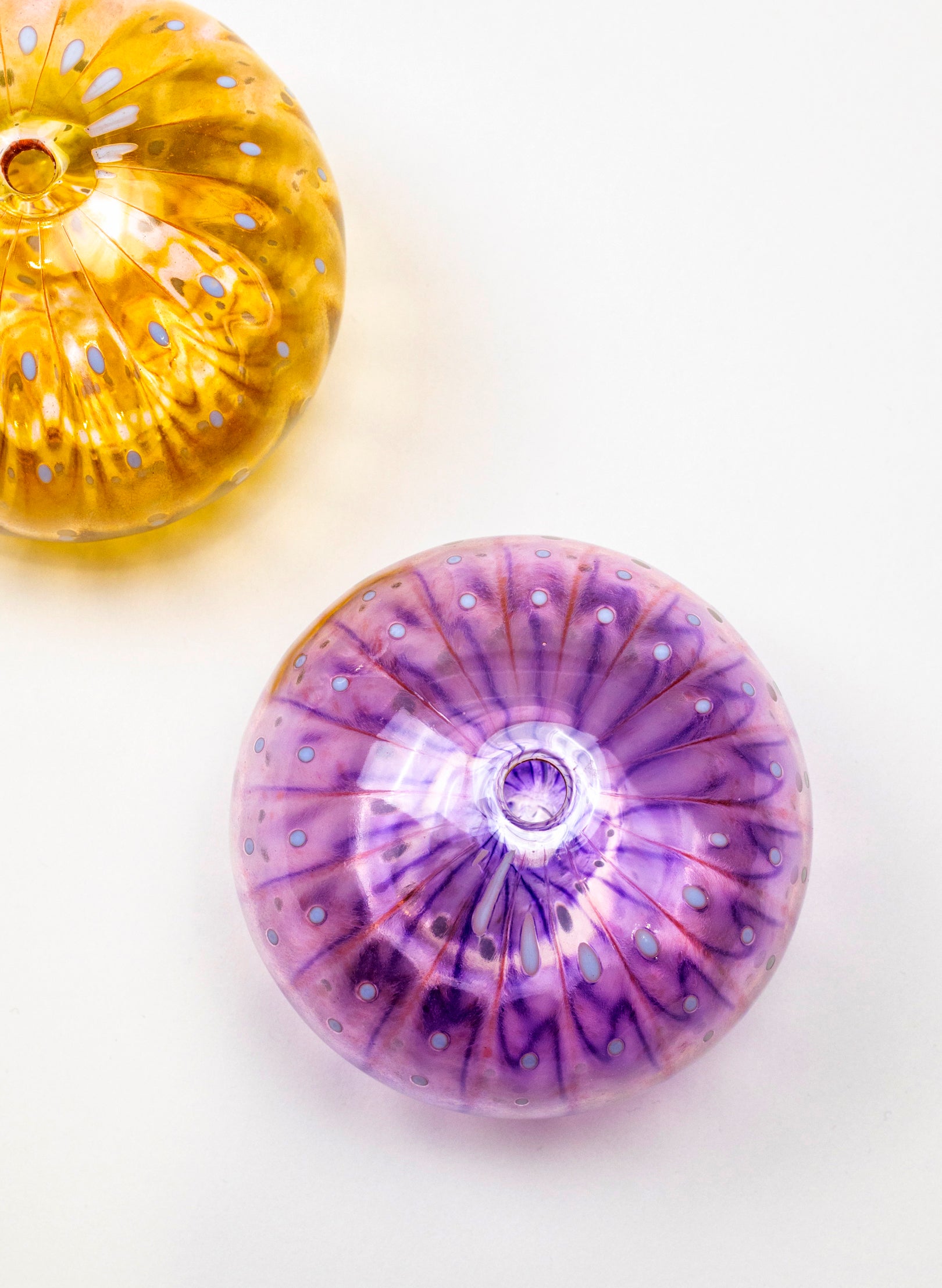 Sea Urchin - Pink & Purple