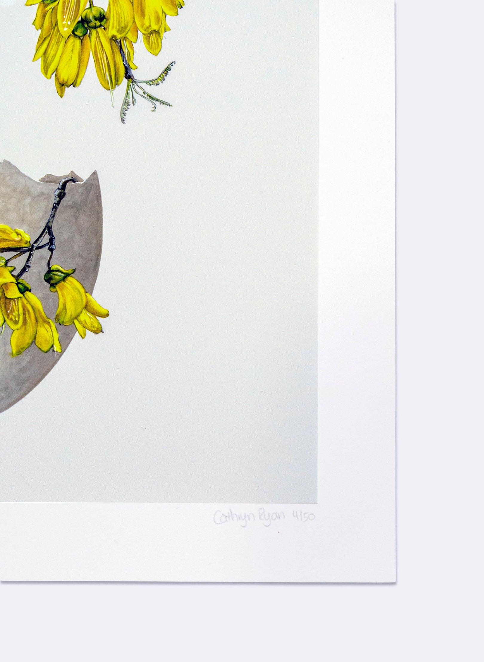 Eggshell Exhibition - Giclée Print