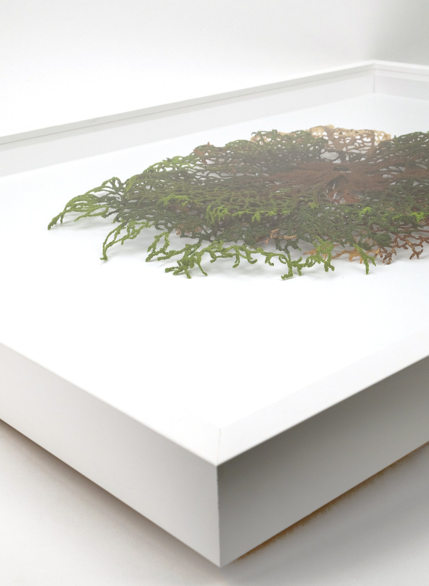 Leaf Vein Formation - 3D Embroidery