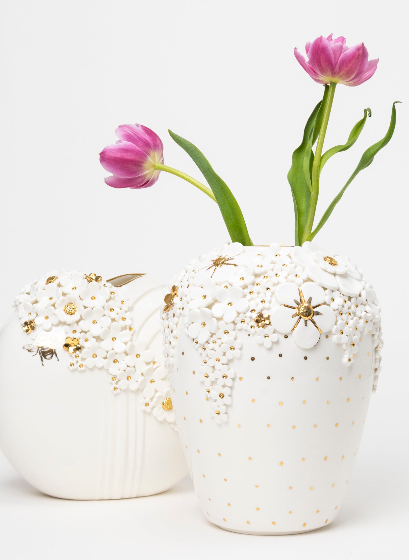 XL Ginger Jar Premium