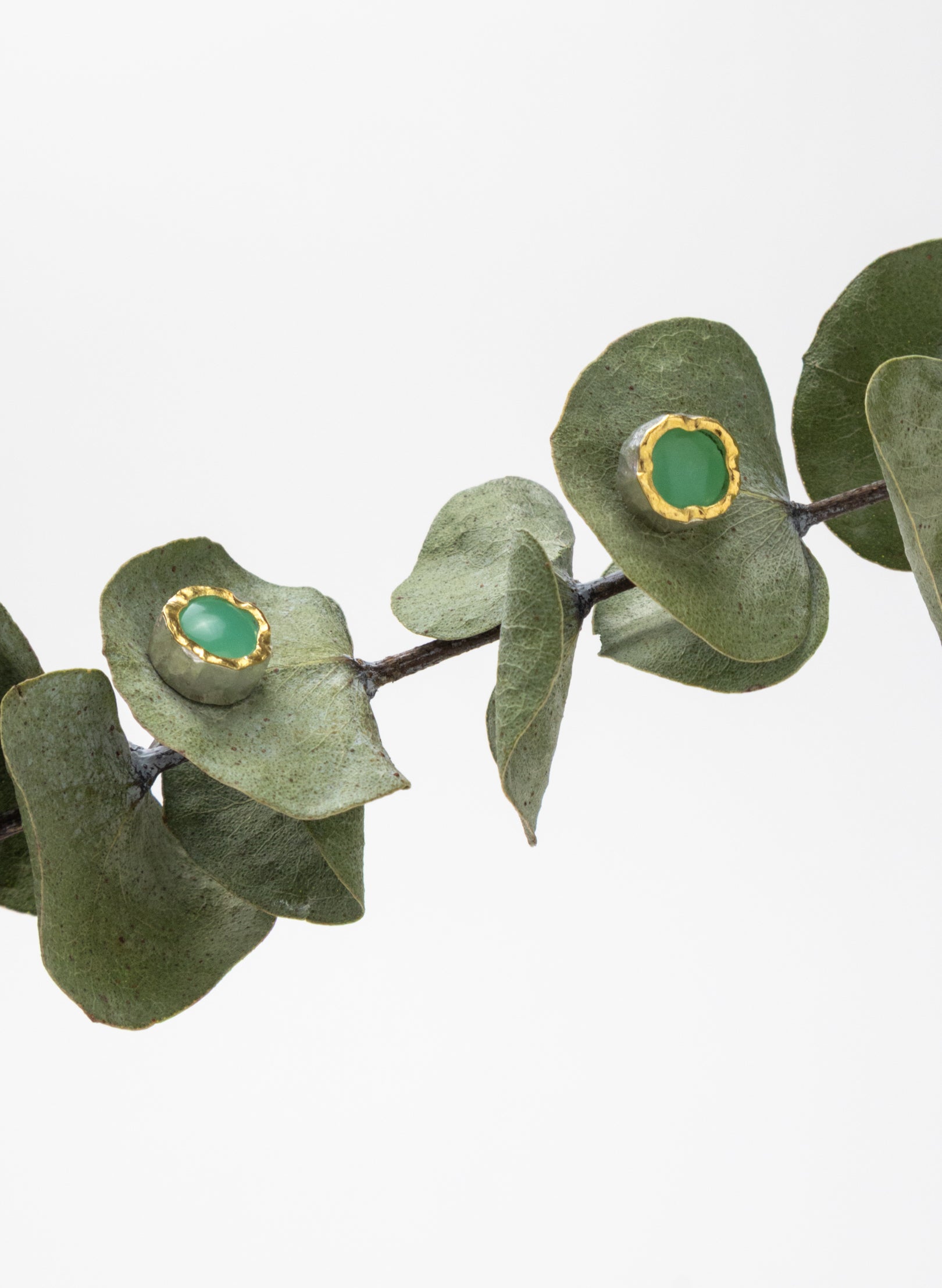 Chrysoprase Stud Earrings