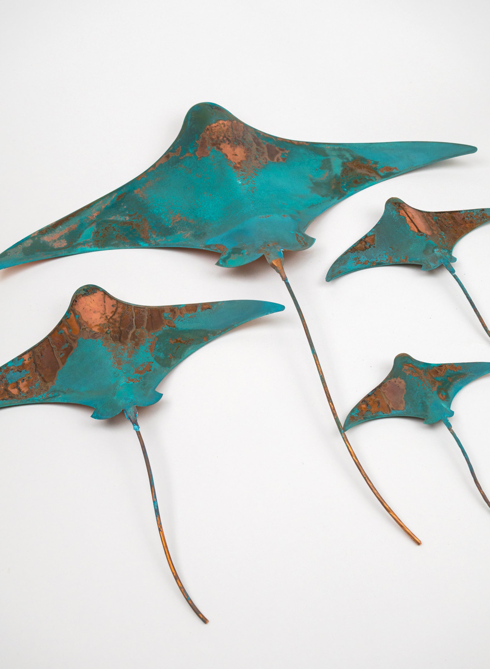 Stingray - Set of 4
