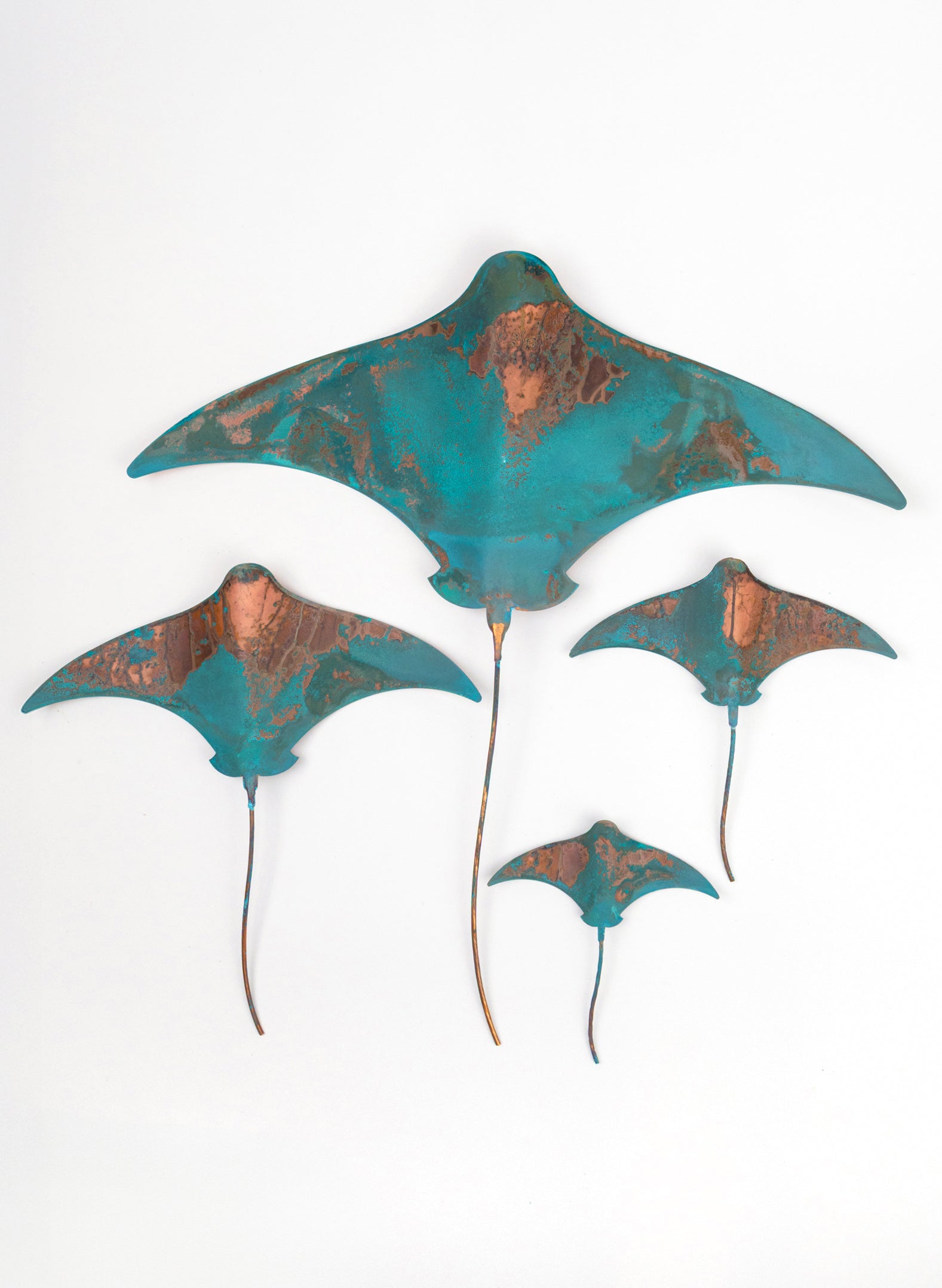 Stingray - Set of 4