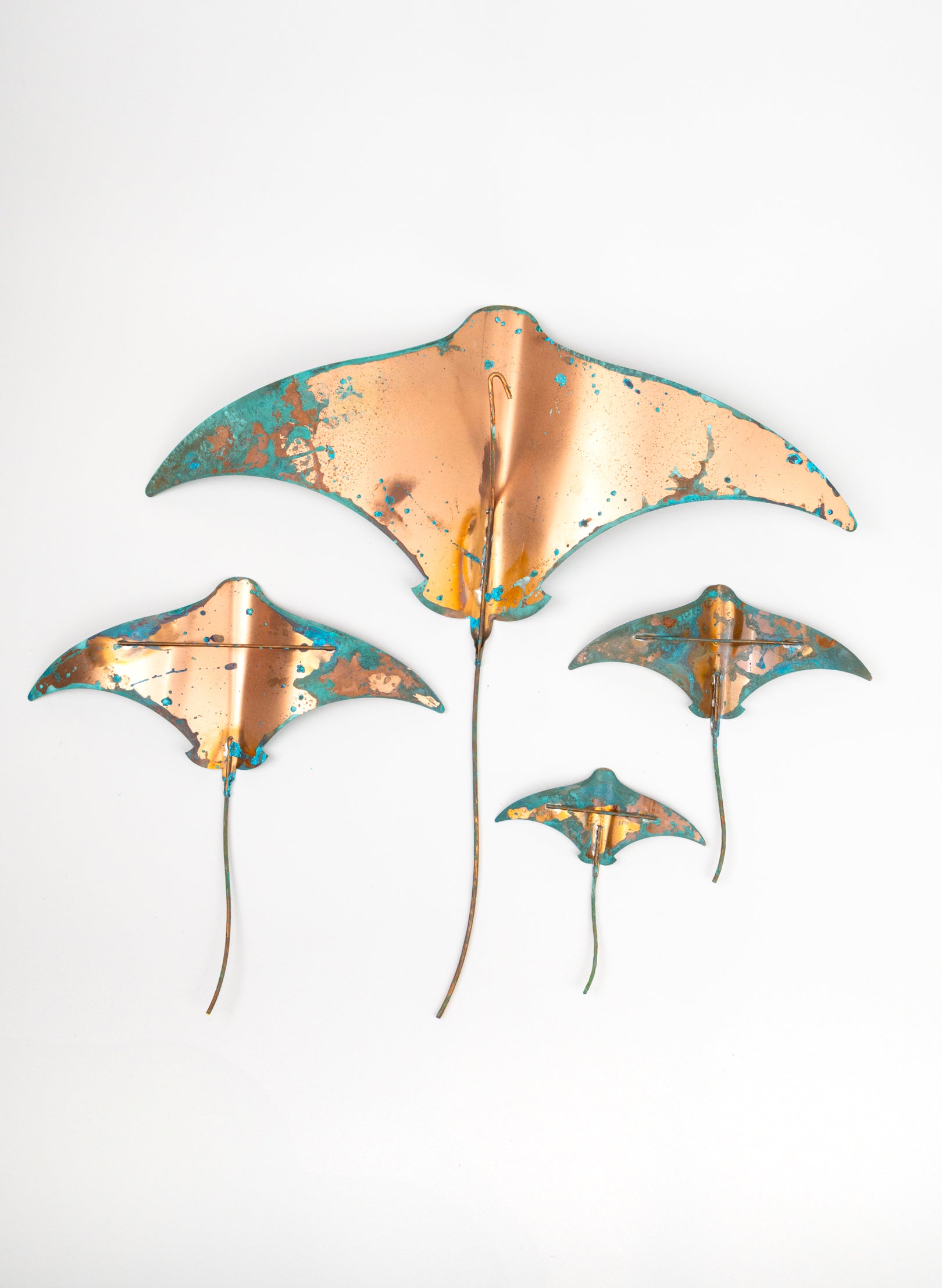 Stingray - Set of 4