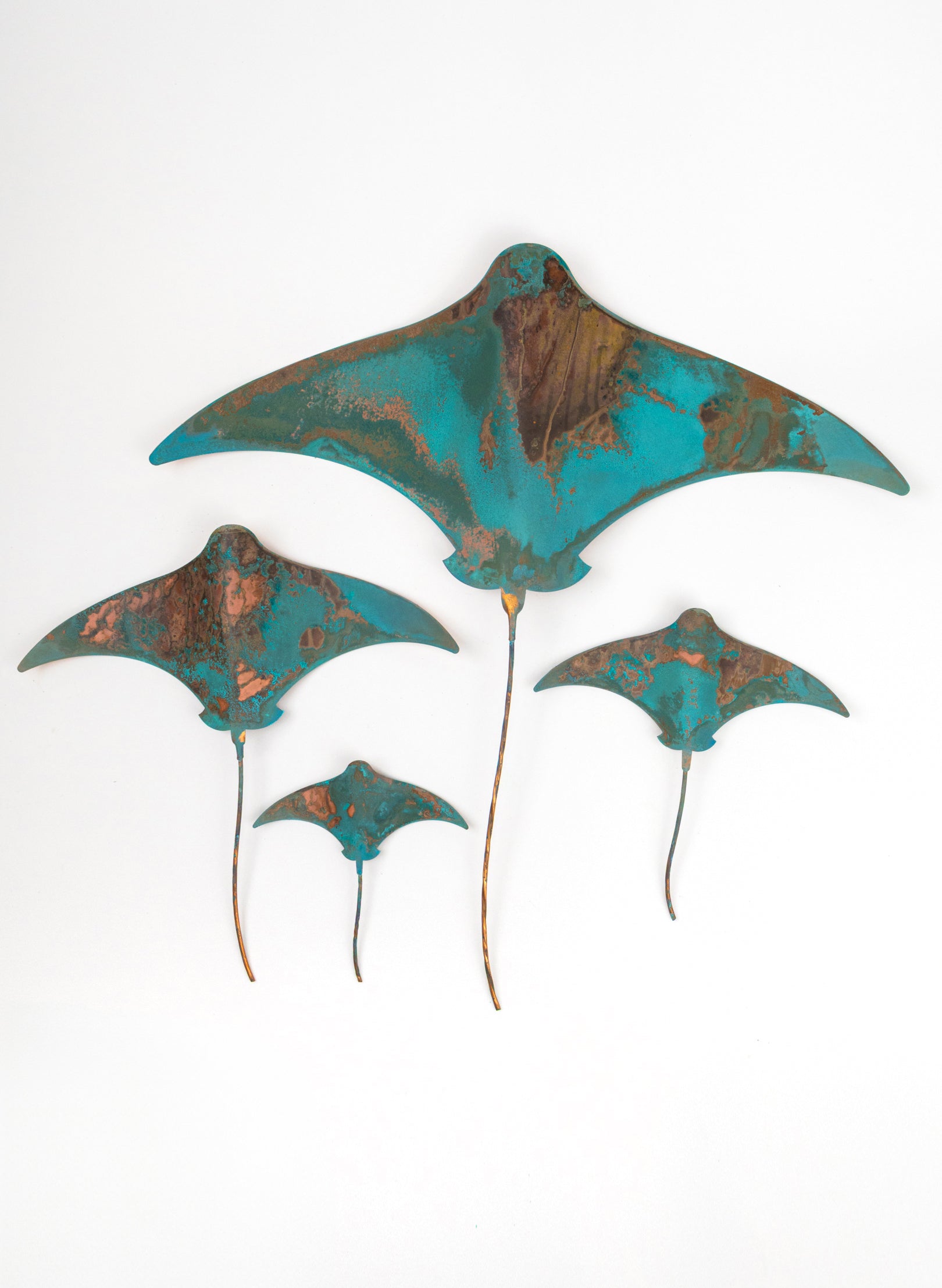 Stingray - Set of 4