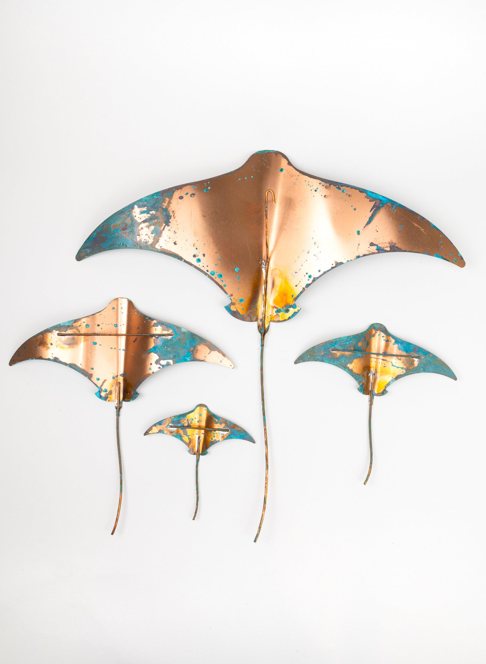 Stingray - Set of 4