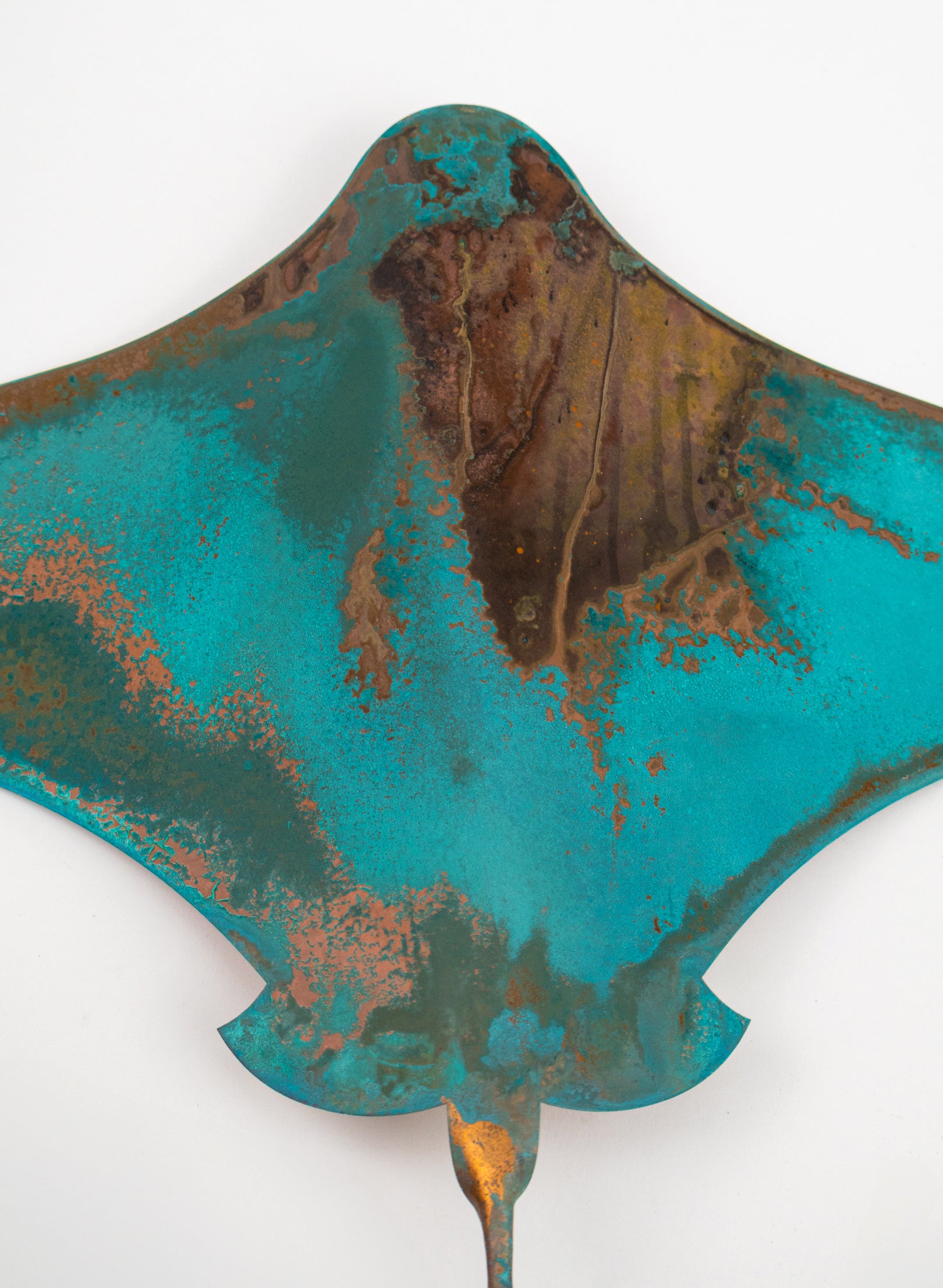 Stingray - Set of 4
