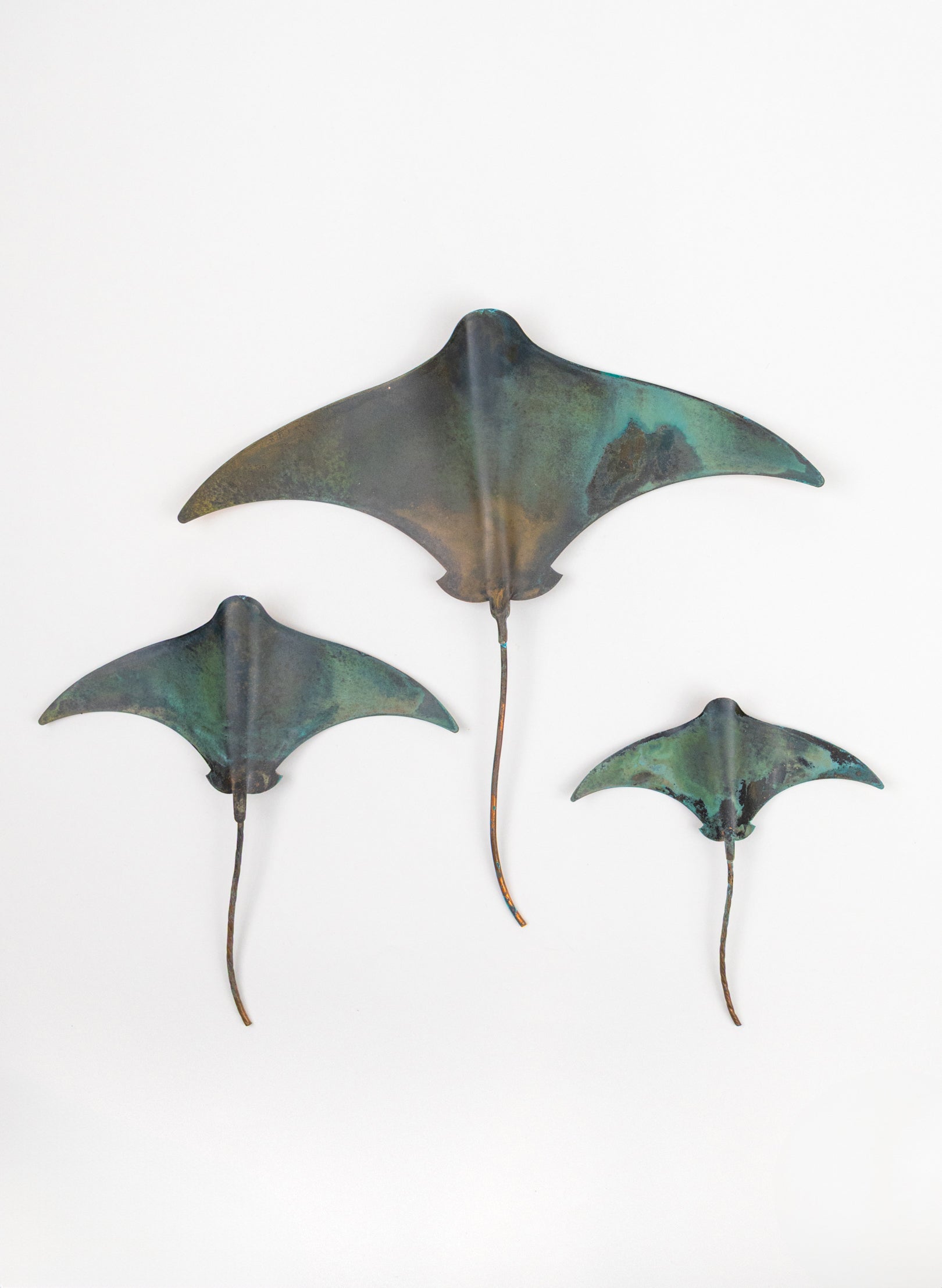 Stingray - Set of 3
