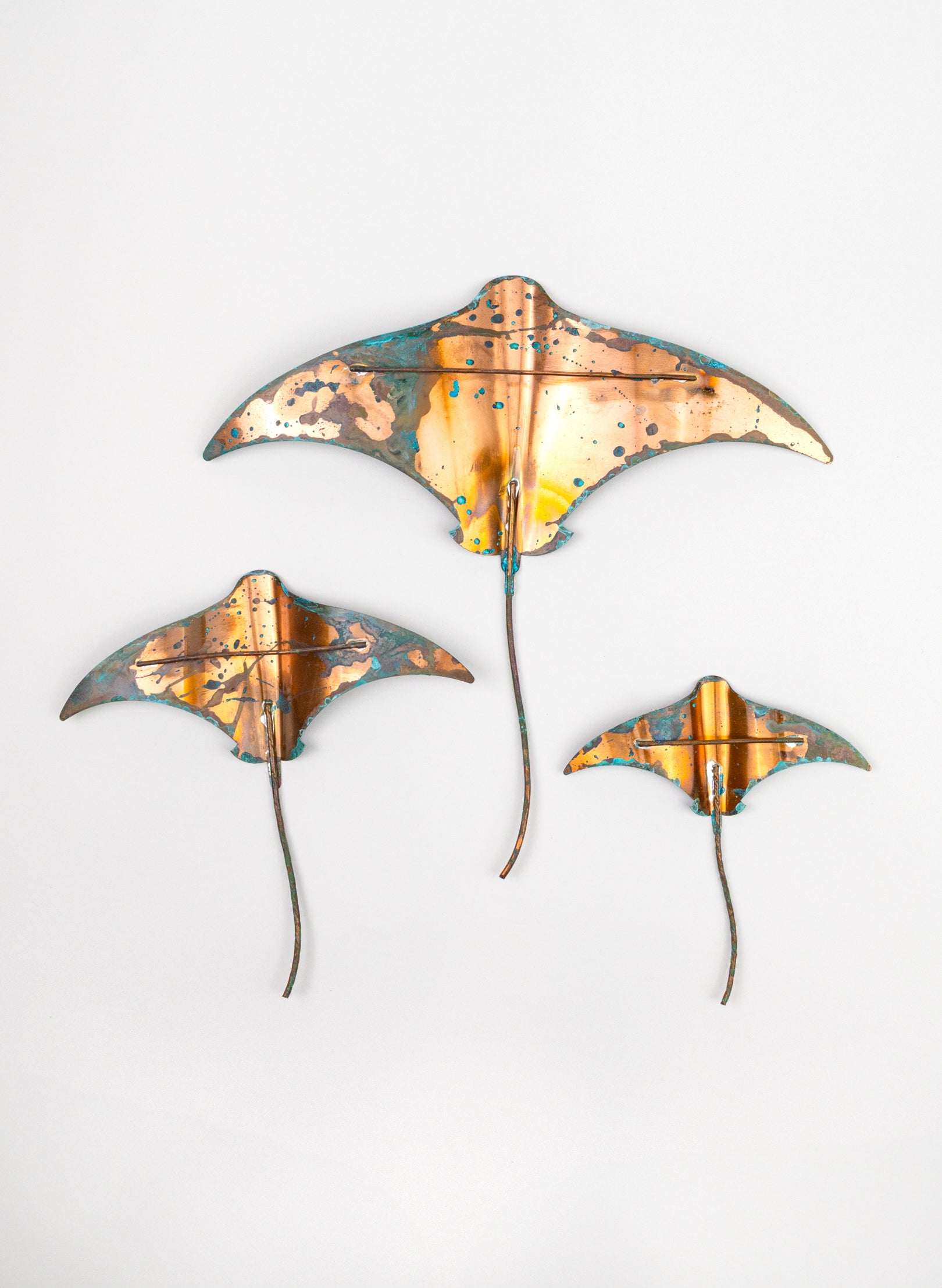 Stingray - Set of 3