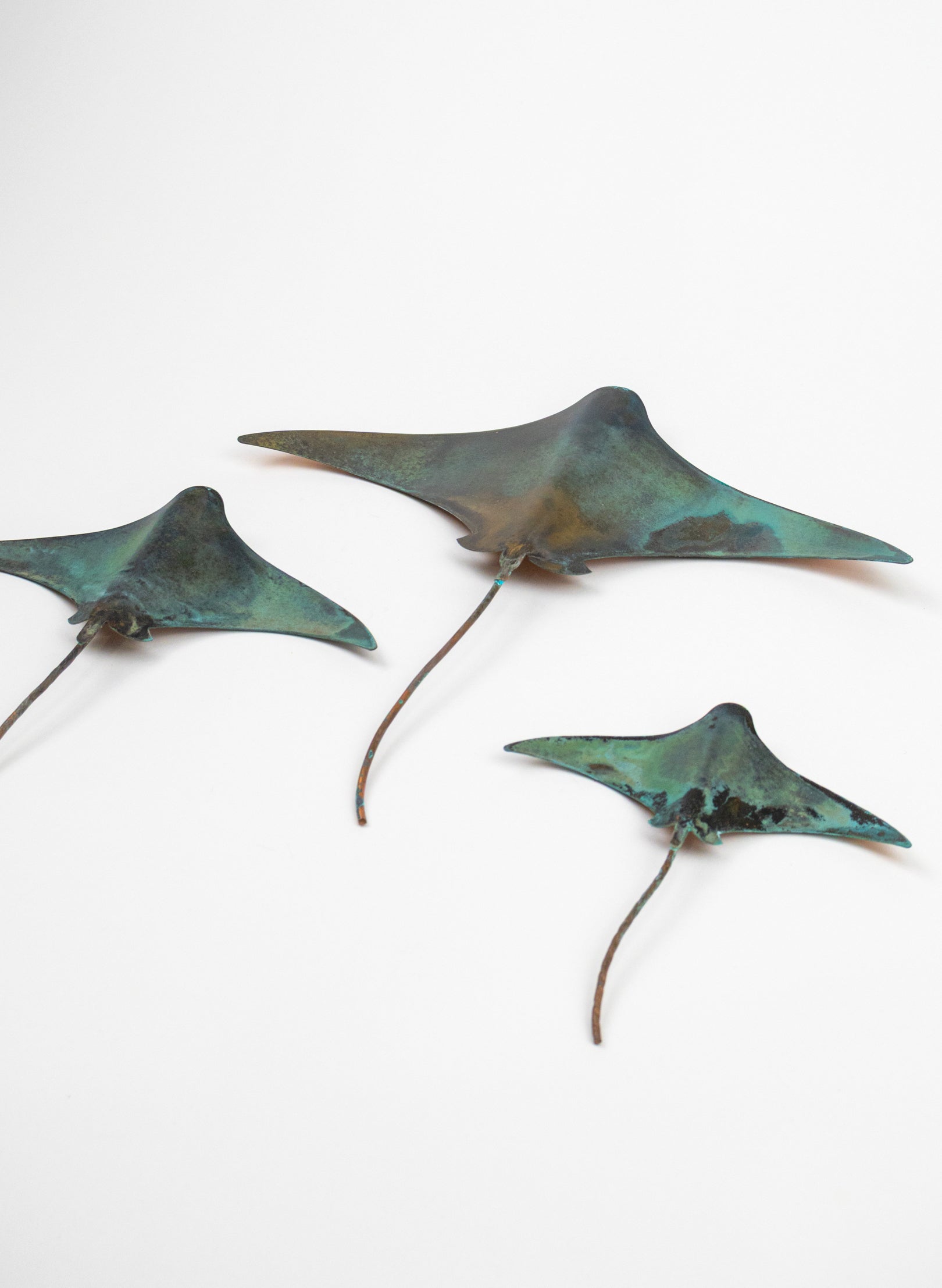 Stingray - Set of 3