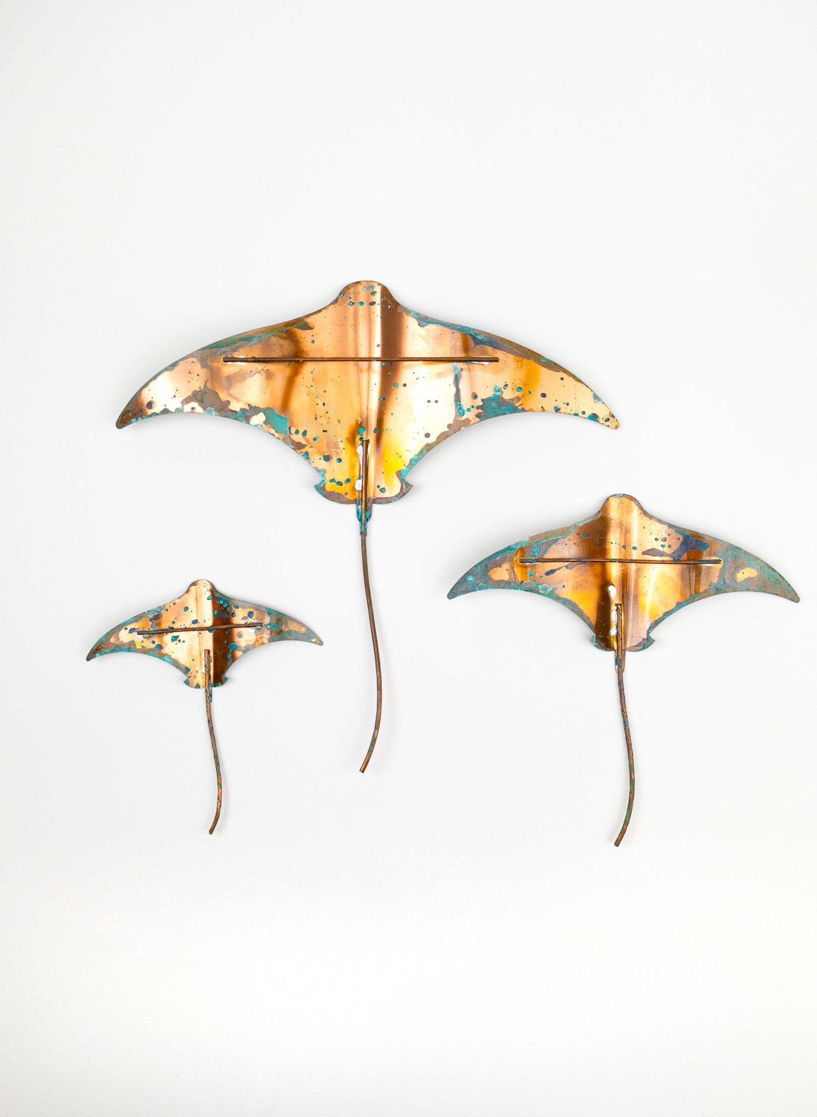 Stingray - Set of 3