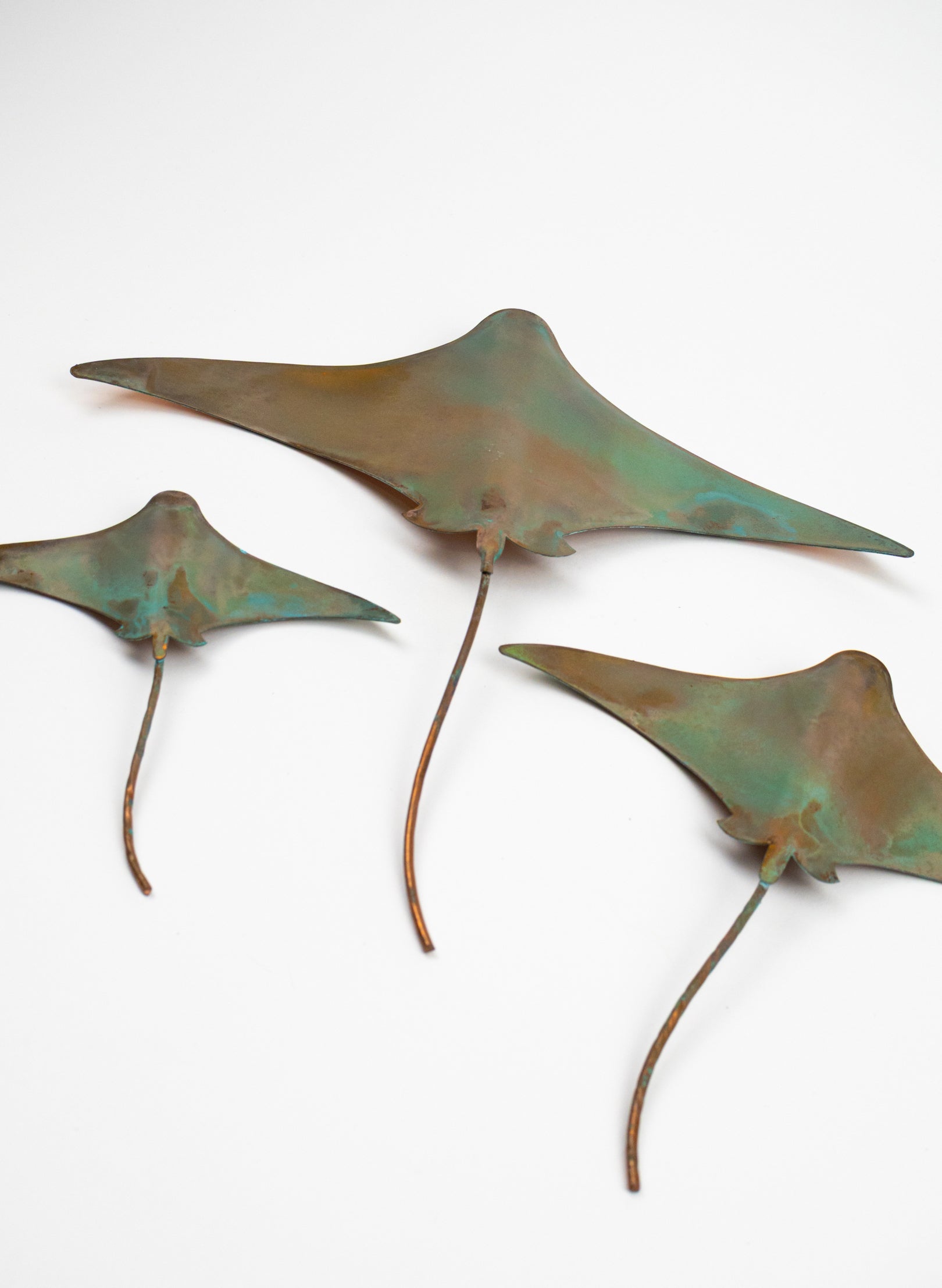 Stingray - Set of 3