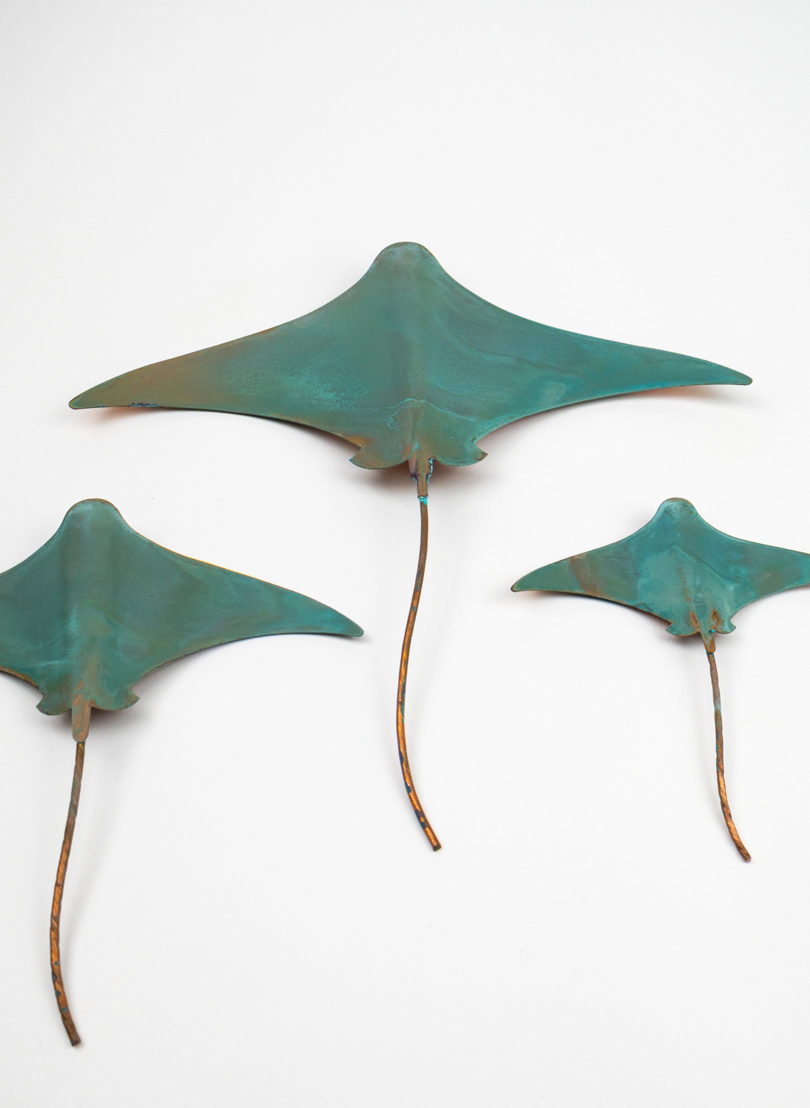 Stingray - Set of 3