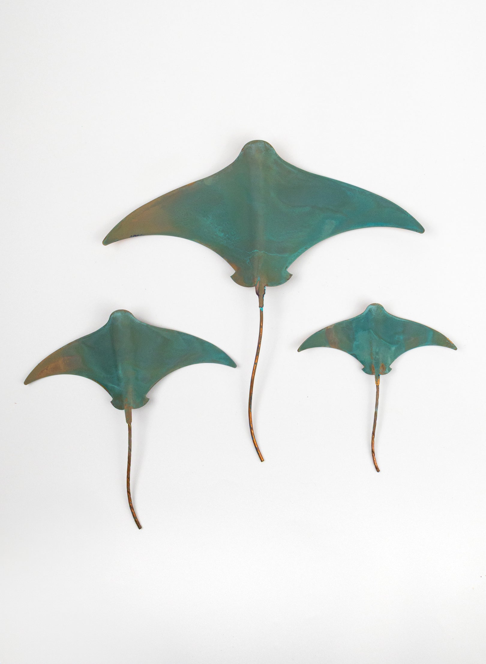 Stingray - Set of 3