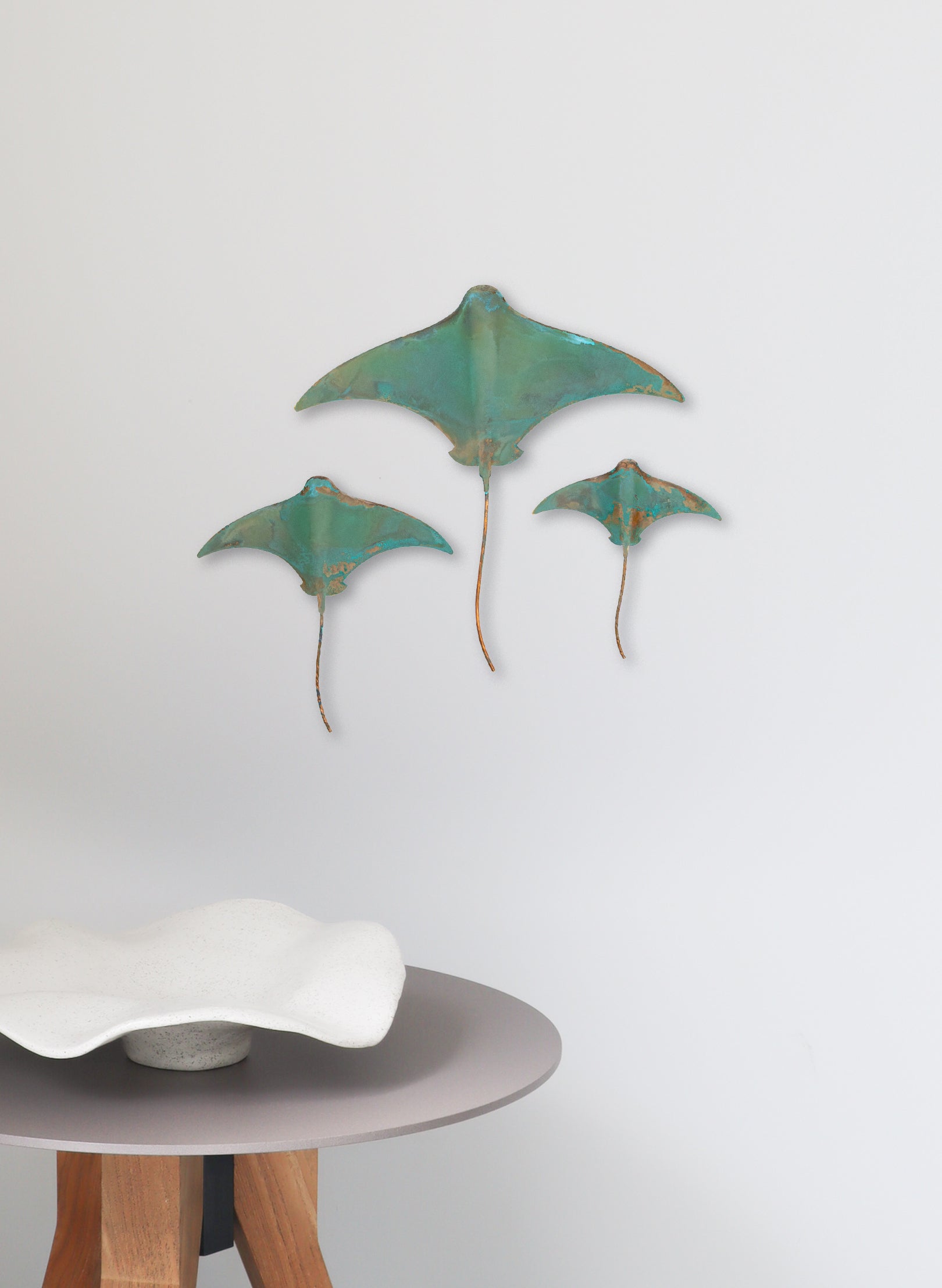 Stingray - Set of 3
