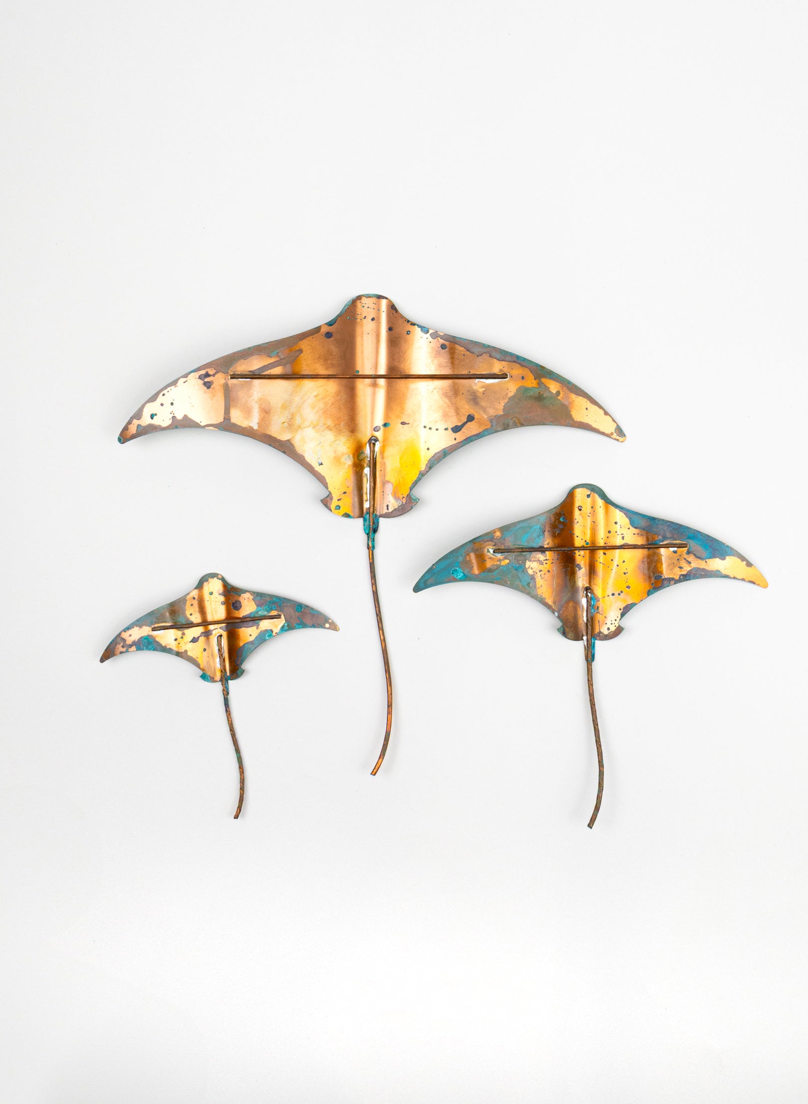 Stingray - Set of 3